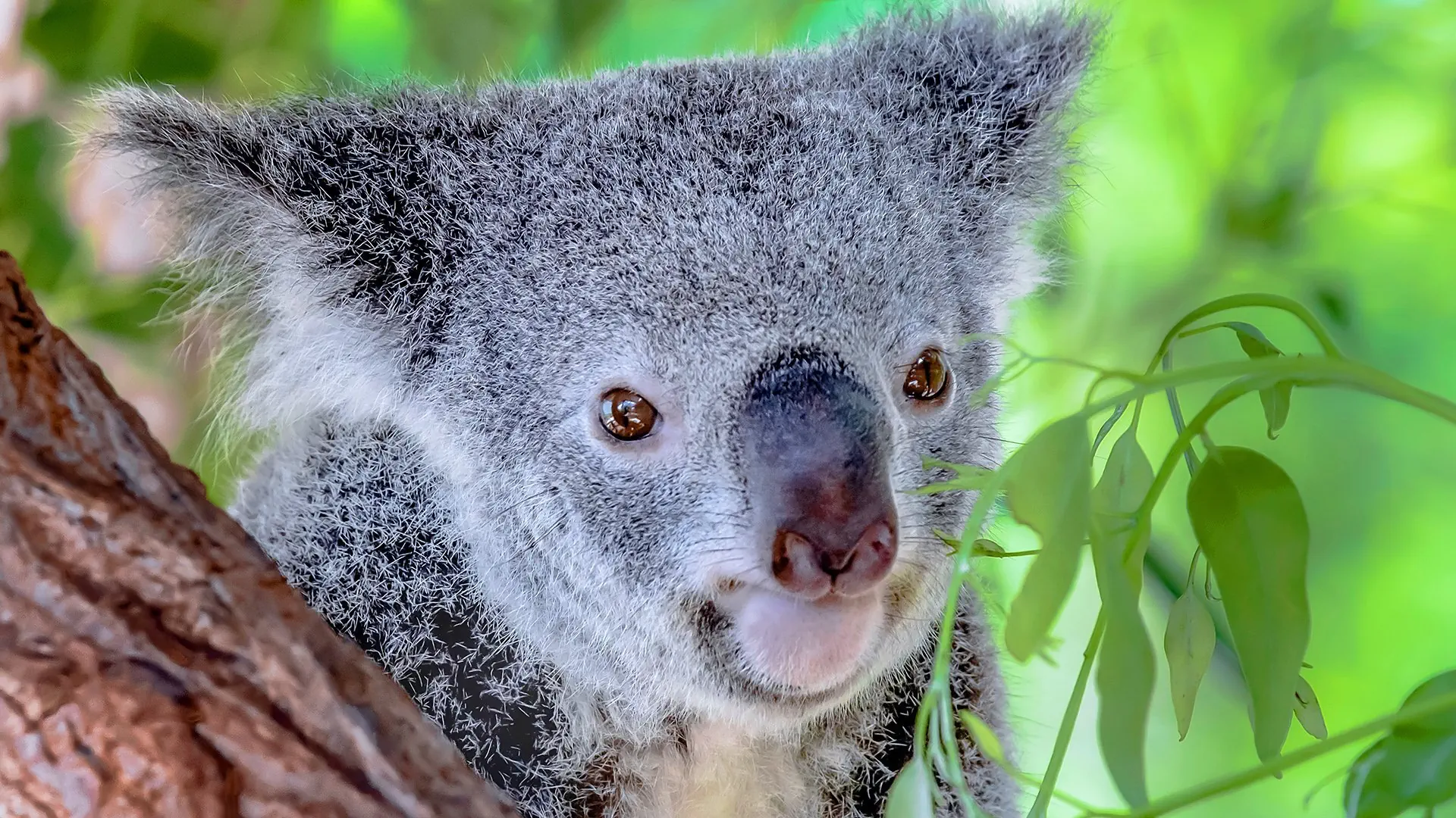Australijski Boomerang: Na Koniec Świata i z Powrotem! - zdjęcie 10