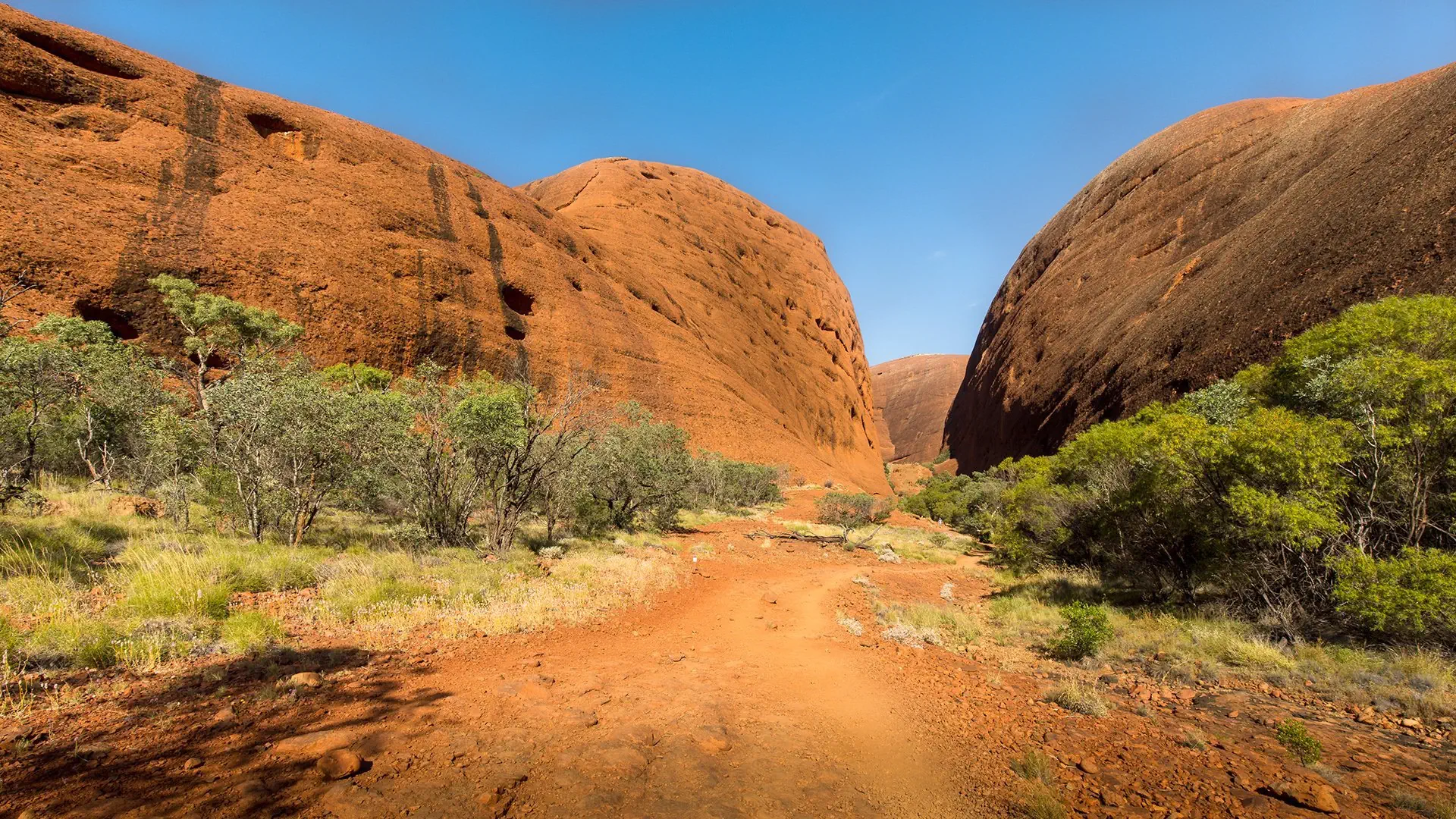 Australijski Boomerang: Na Koniec Świata i z Powrotem! - zdjęcie 17