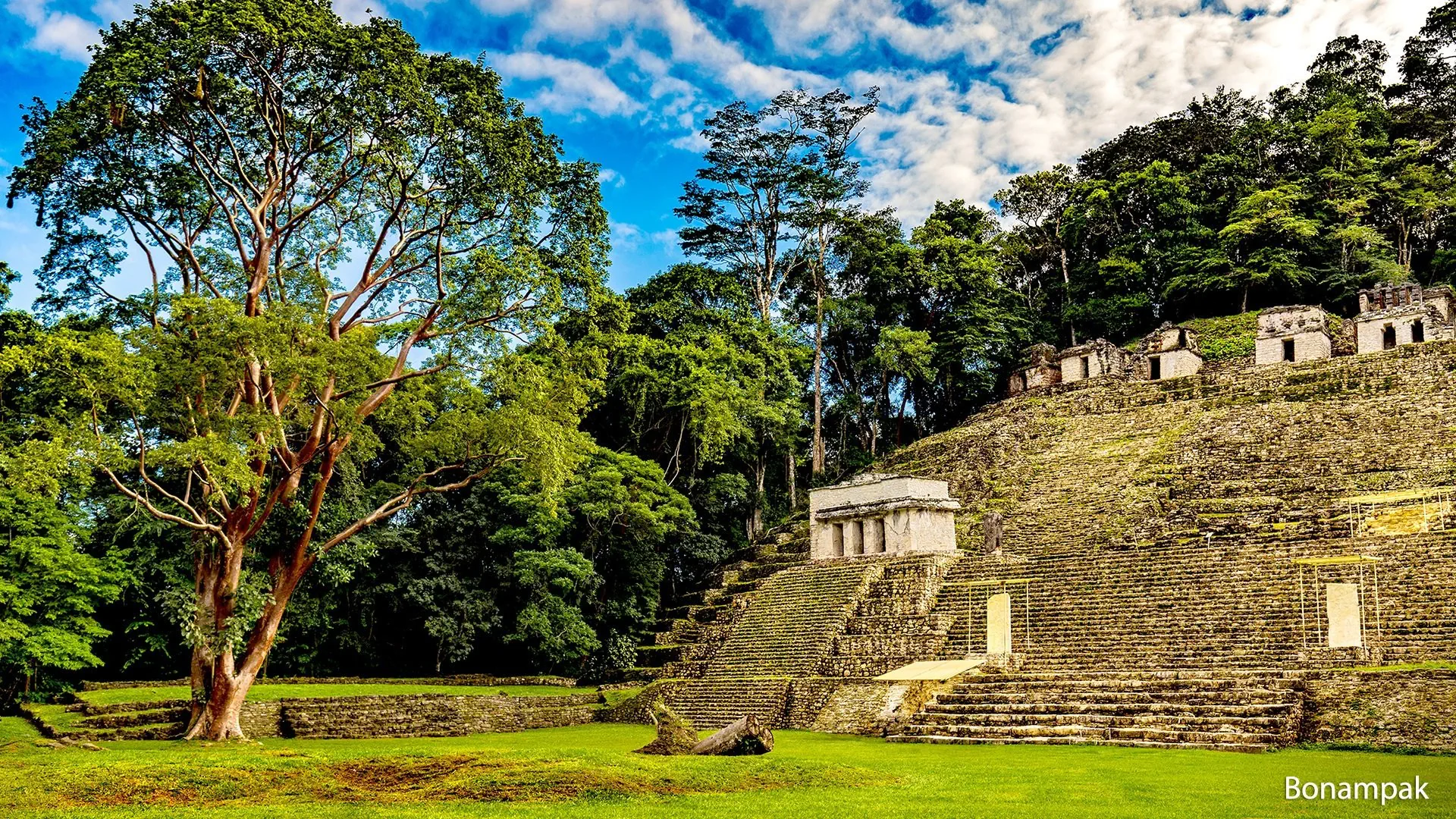 Que rico Mexico! - zdjęcie 19