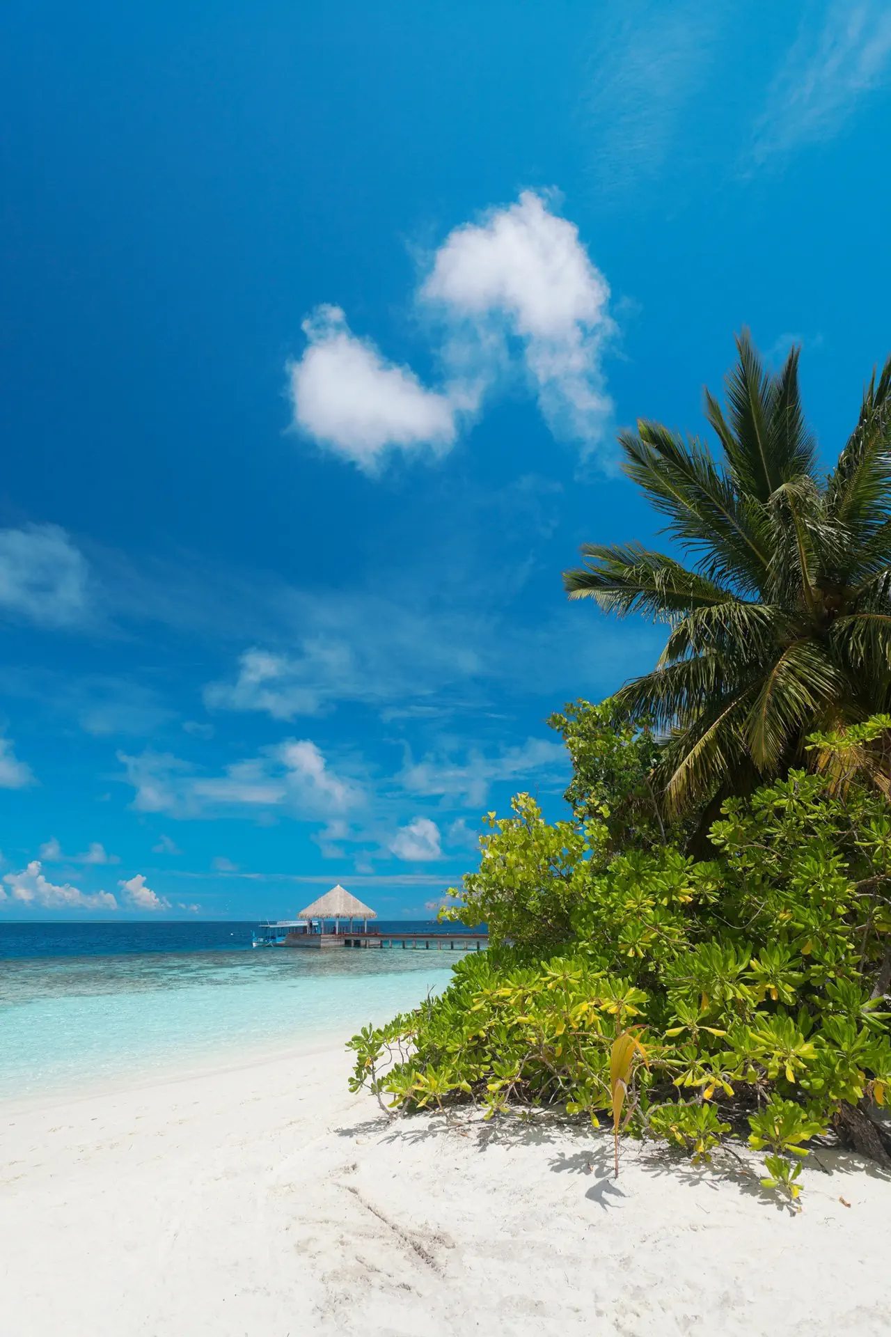 Sandies Bathala Maldives - zdjęcie 33