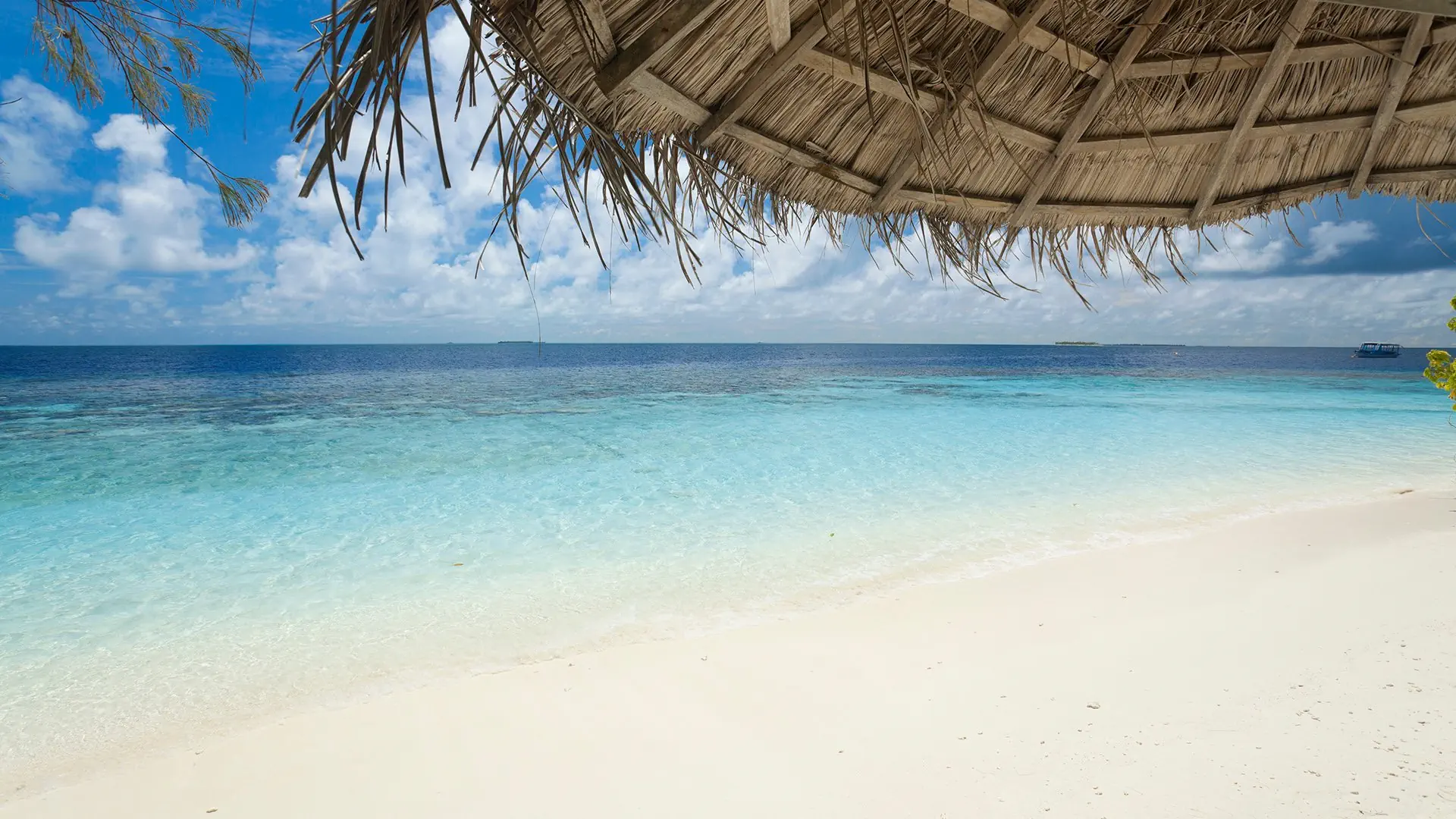 Sandies Bathala Maldives - zdjęcie 37