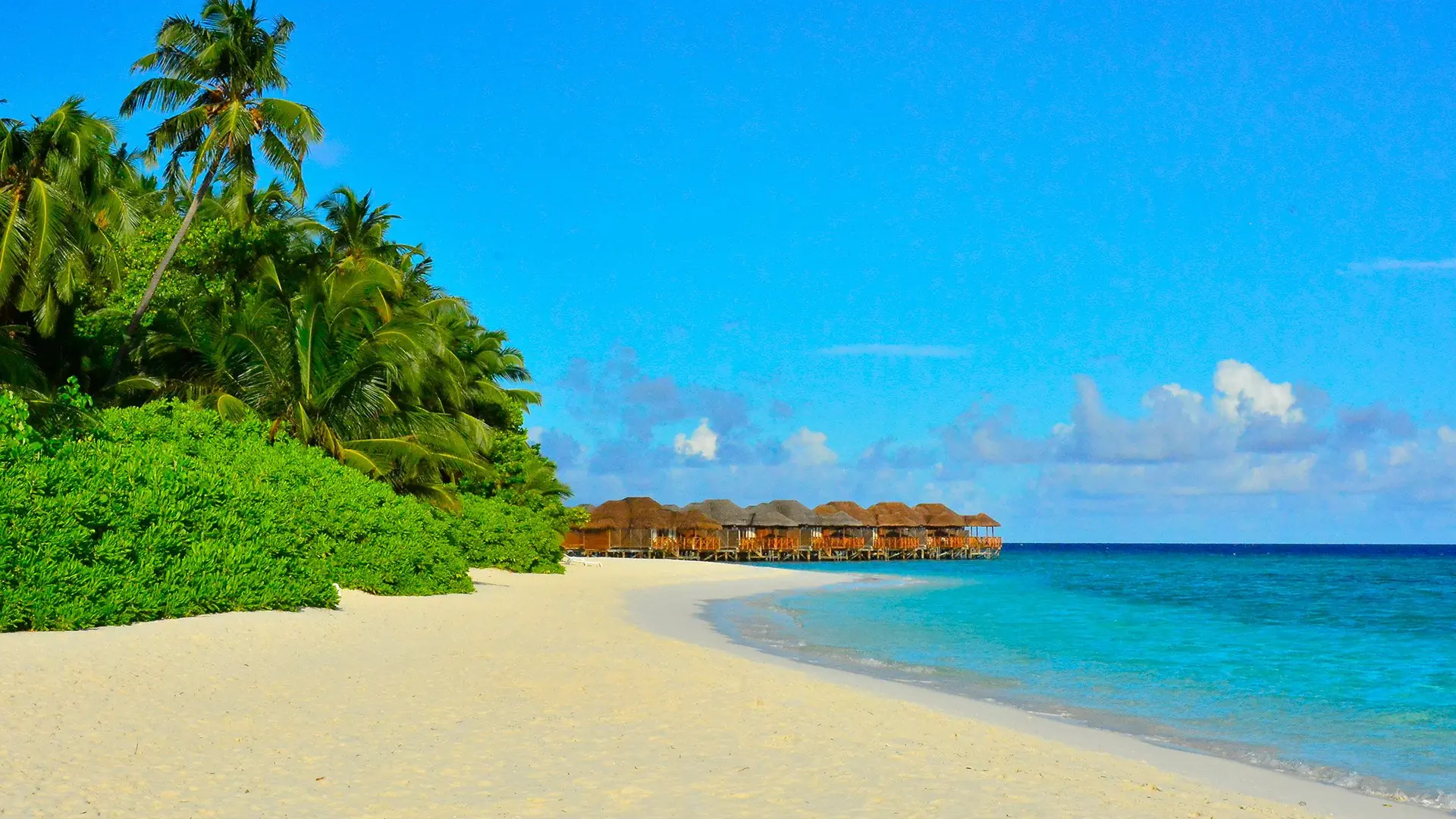 Fihalhohi Island Resort - zdjęcie 22