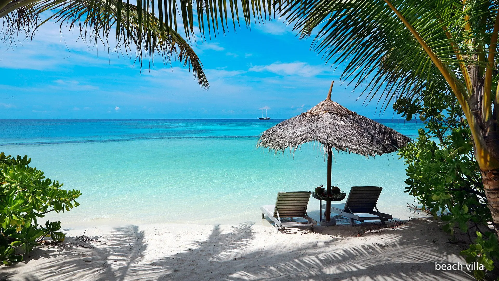 Gangehi Island Resort - zdjęcie 3
