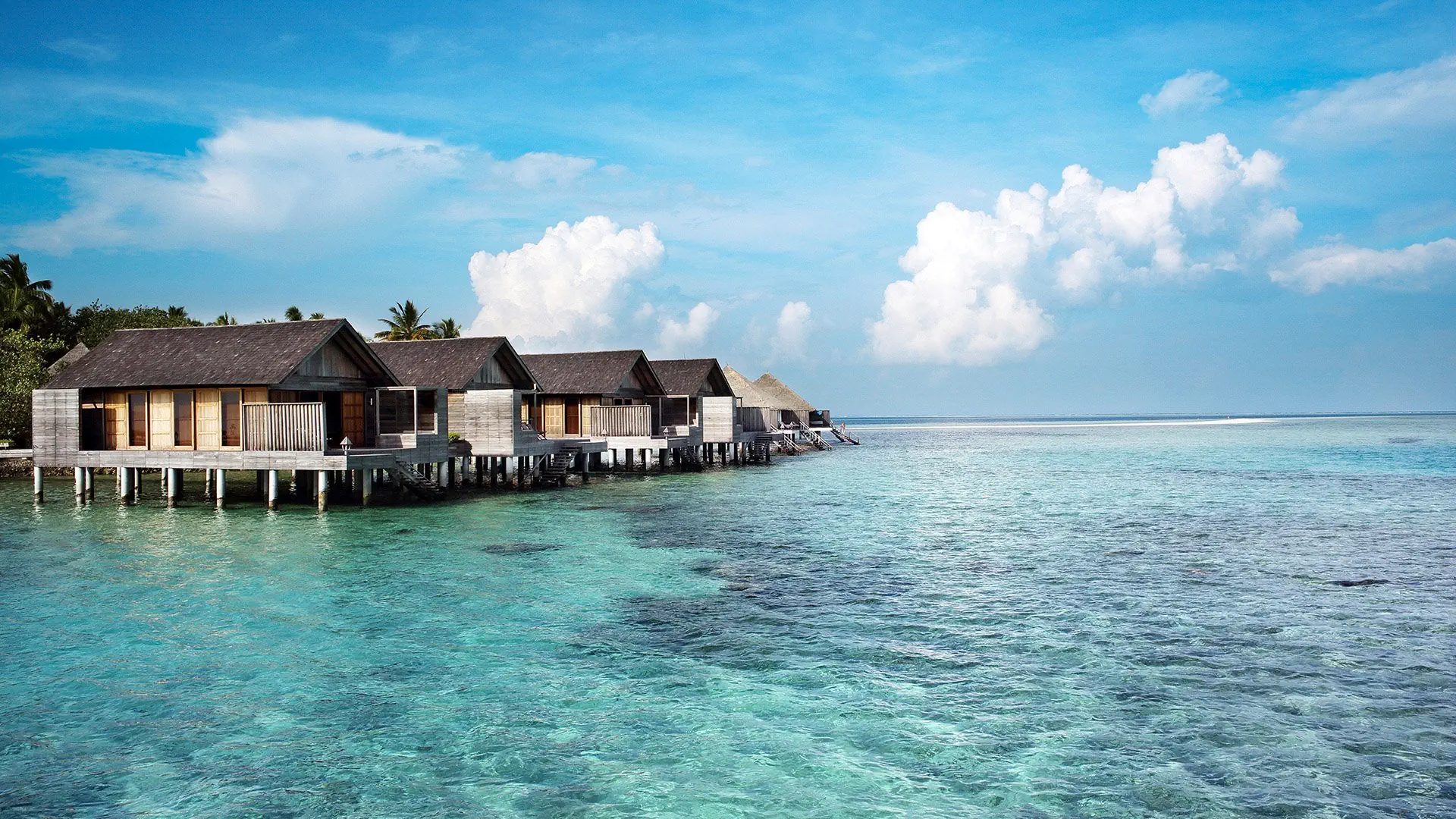 Gangehi Island Resort - zdjęcie 15