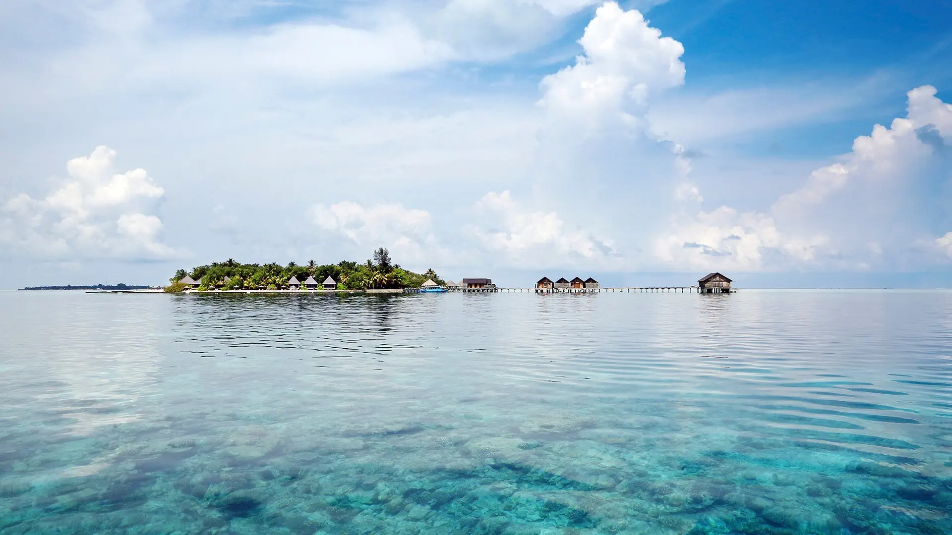 Gangehi Island Resort - zdjęcie 28