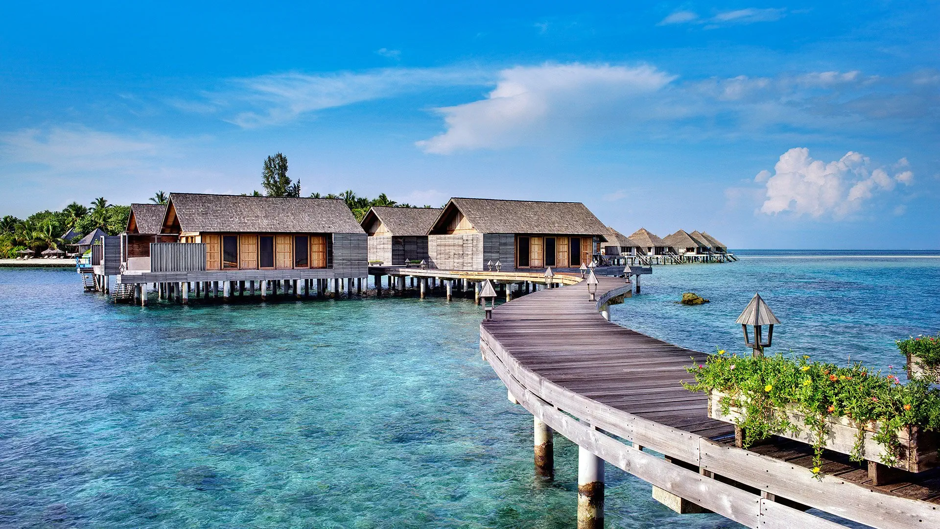 Gangehi Island Resort - zdjęcie 5