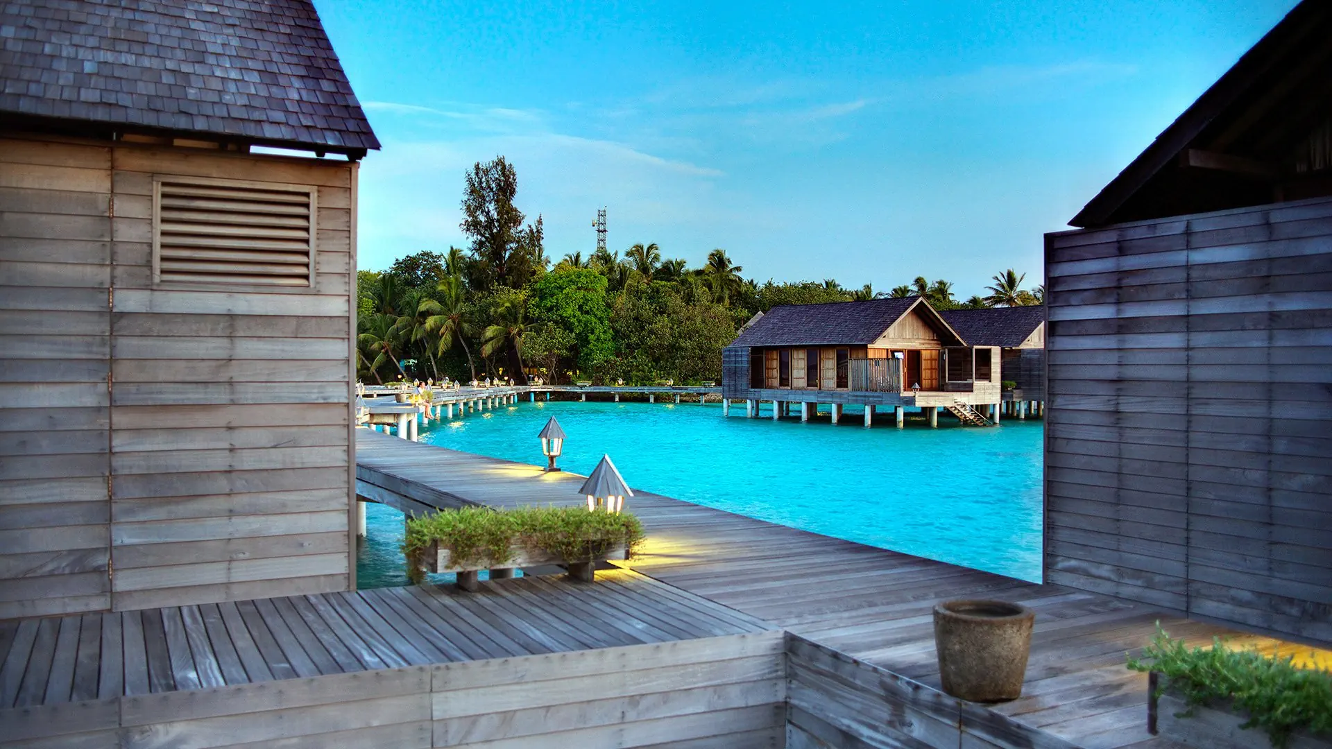 Gangehi Island Resort - zdjęcie 16