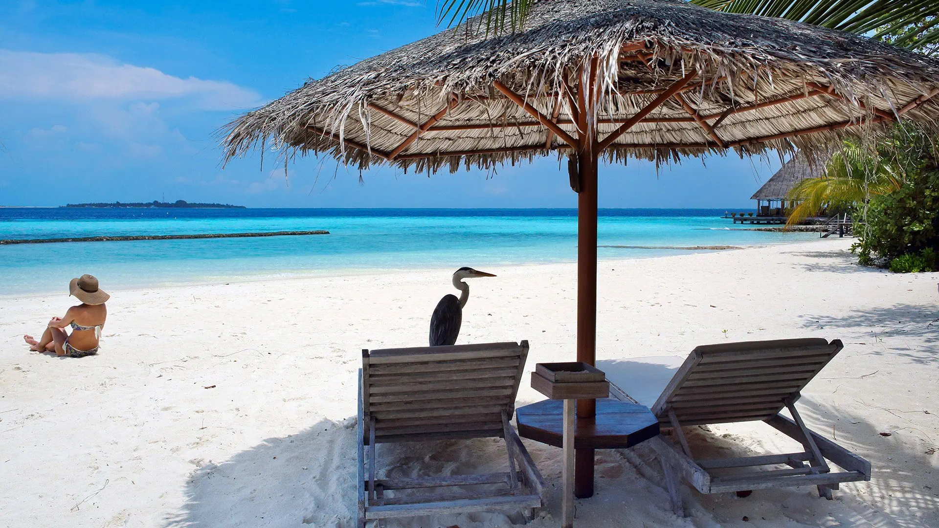 Gangehi Island Resort - zdjęcie 30
