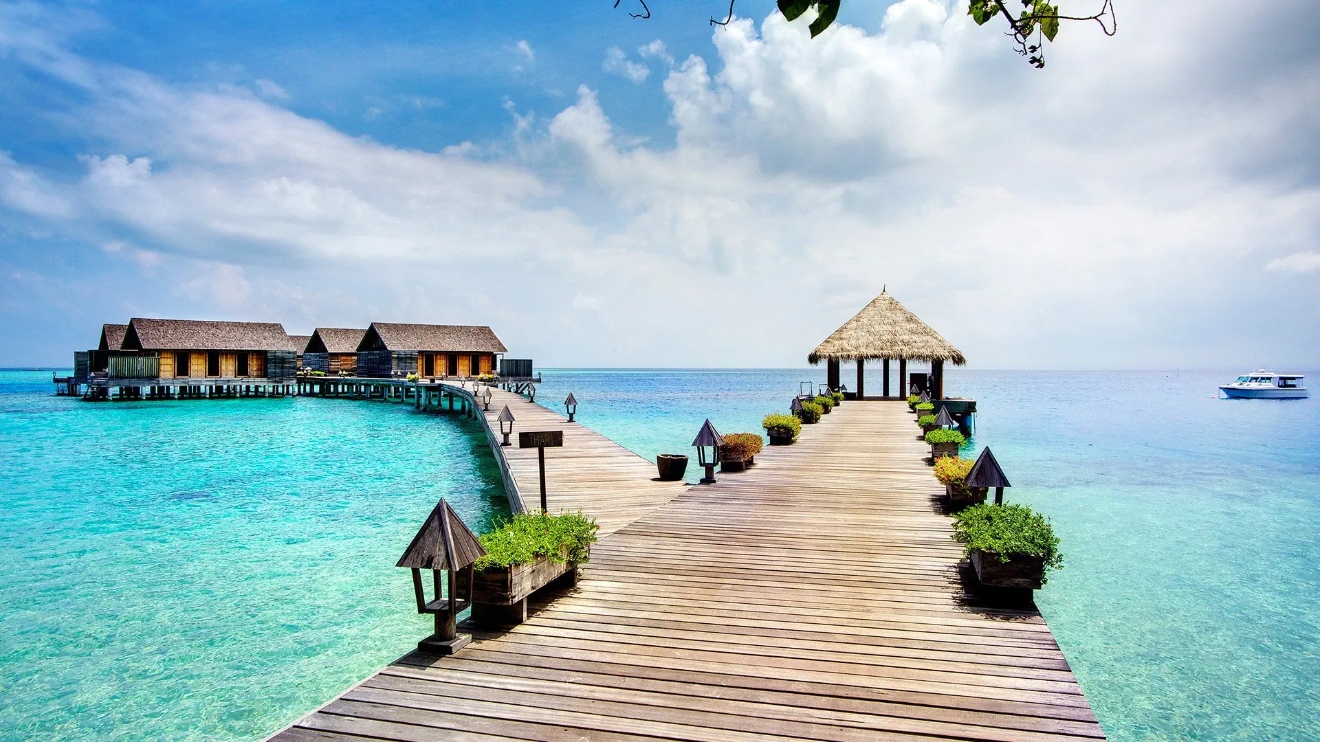 Gangehi Island Resort - zdjęcie 14