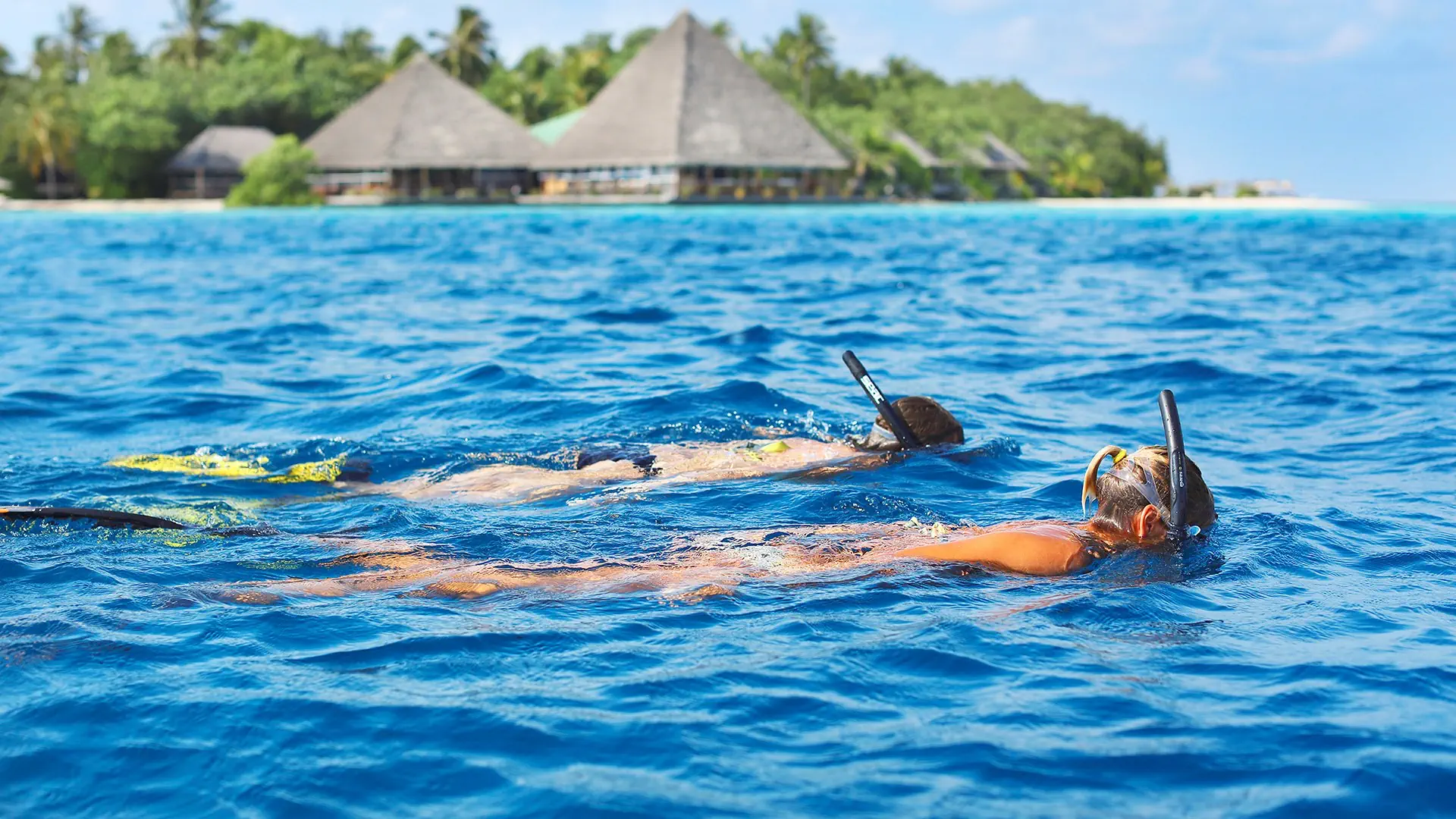 Gangehi Island Resort - zdjęcie 32