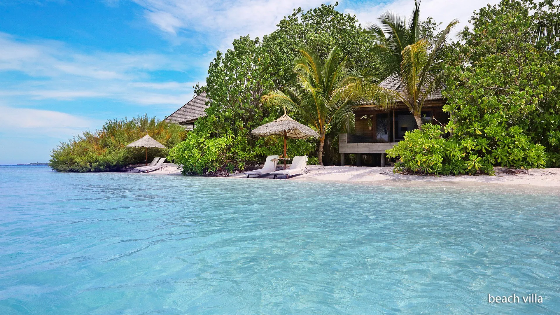 Gangehi Island Resort - zdjęcie 4