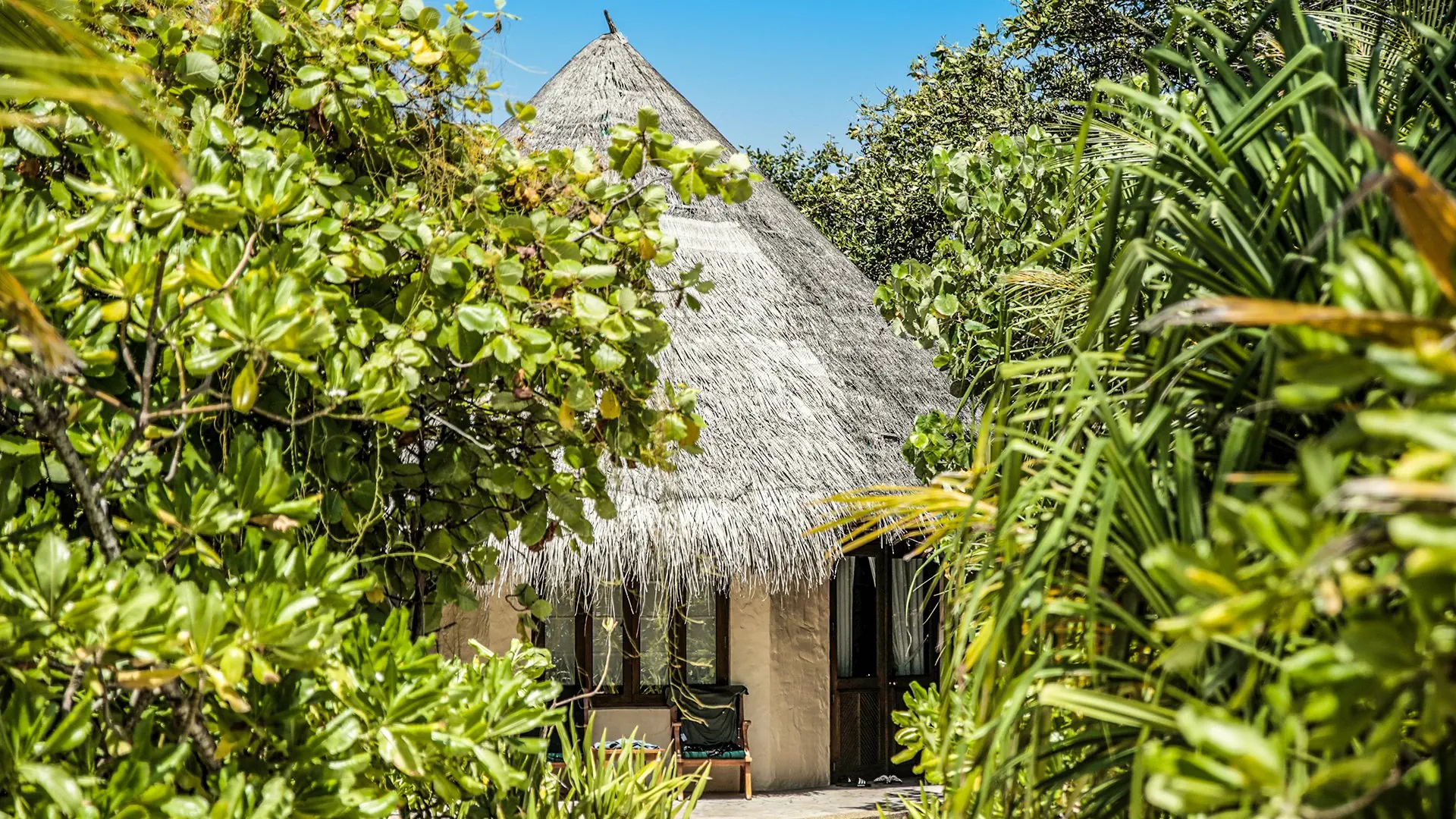 Coco Palm Dhuni Kolhu - zdjęcie 7