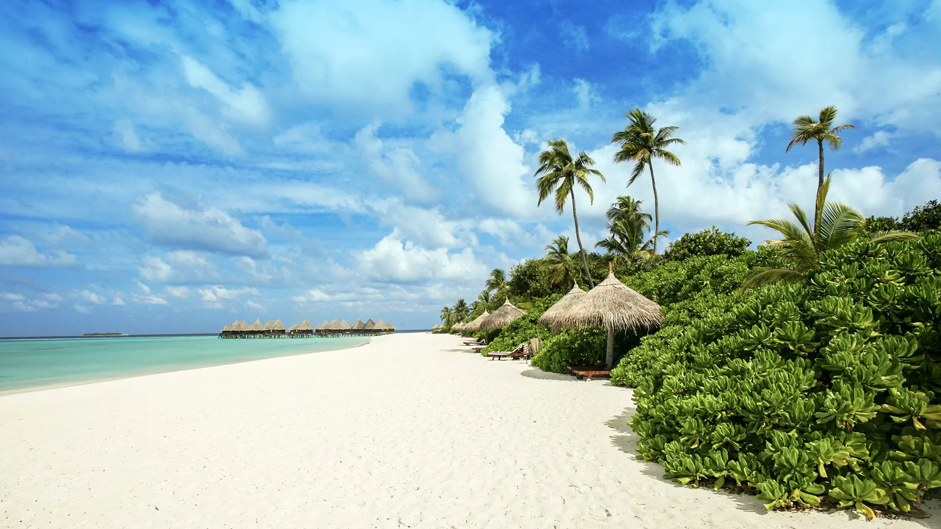 Coco Palm Dhuni Kolhu - zdjęcie 33