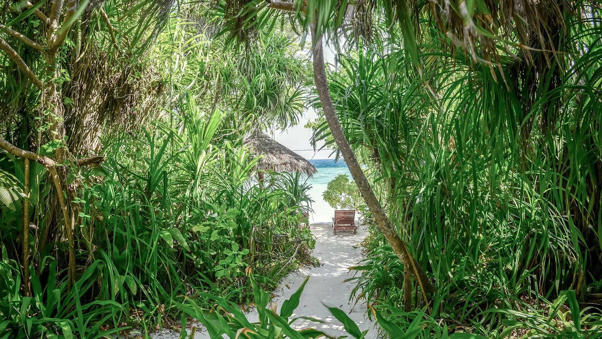 Coco Palm Dhuni Kolhu - zdjęcie 13