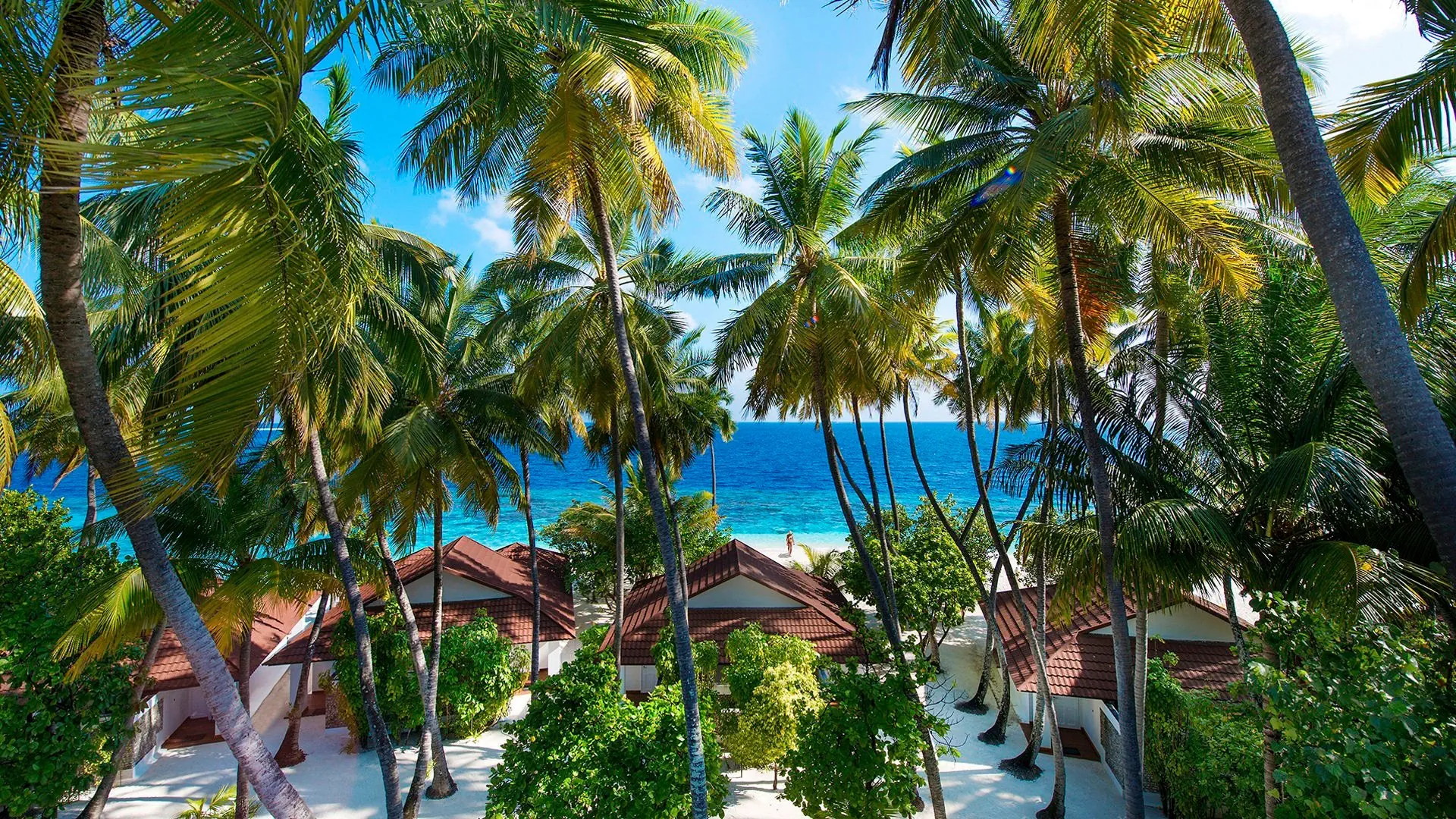 Diamonds Thudufushi Beach & Water Villas - zdjęcie 17
