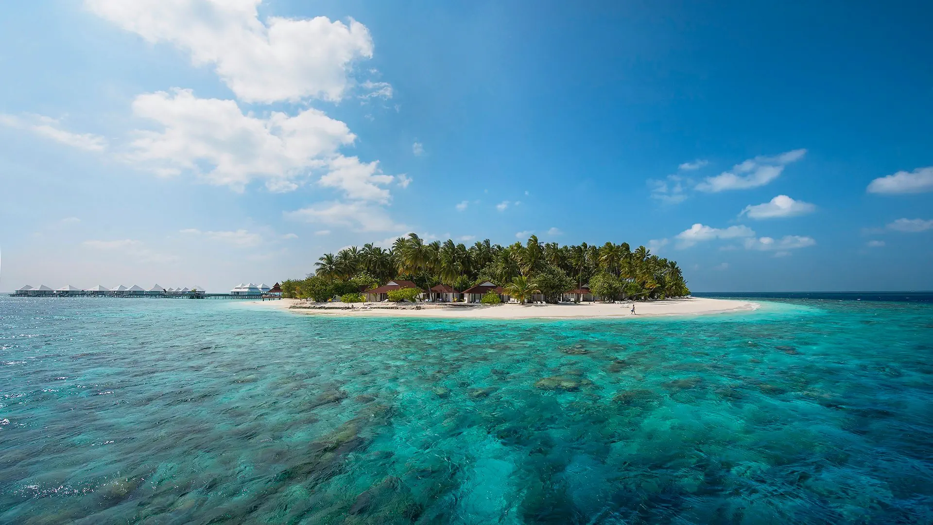 Diamonds Thudufushi Beach & Water Villas - zdjęcie 18