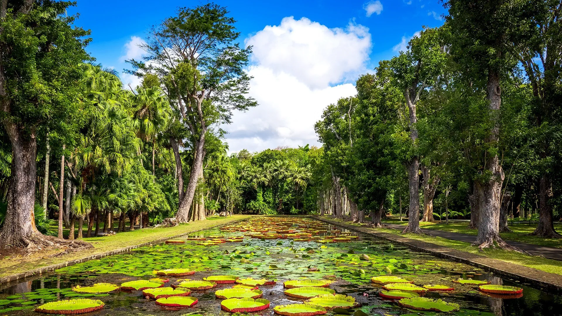 Mauritius: Siedem Kolorów Raju - zdjęcie 8