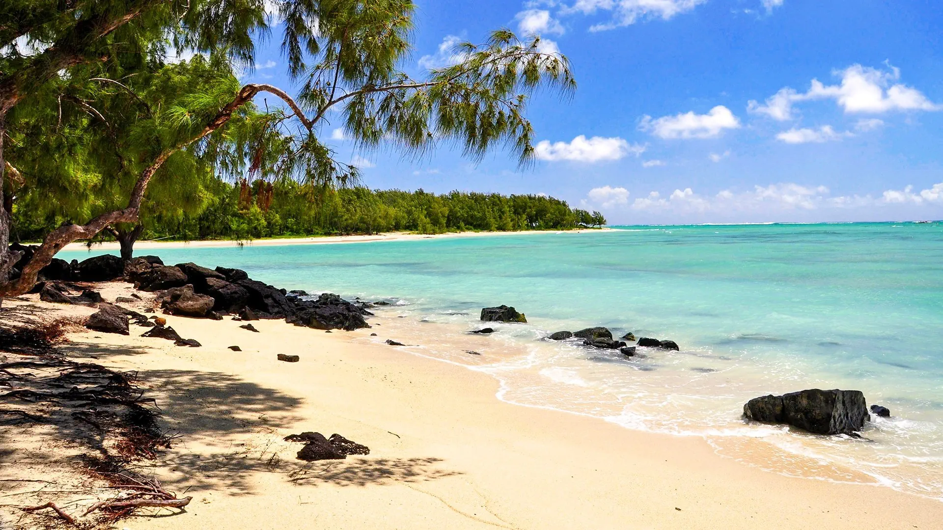 Mauritius: Siedem Kolorów Raju - zdjęcie 19