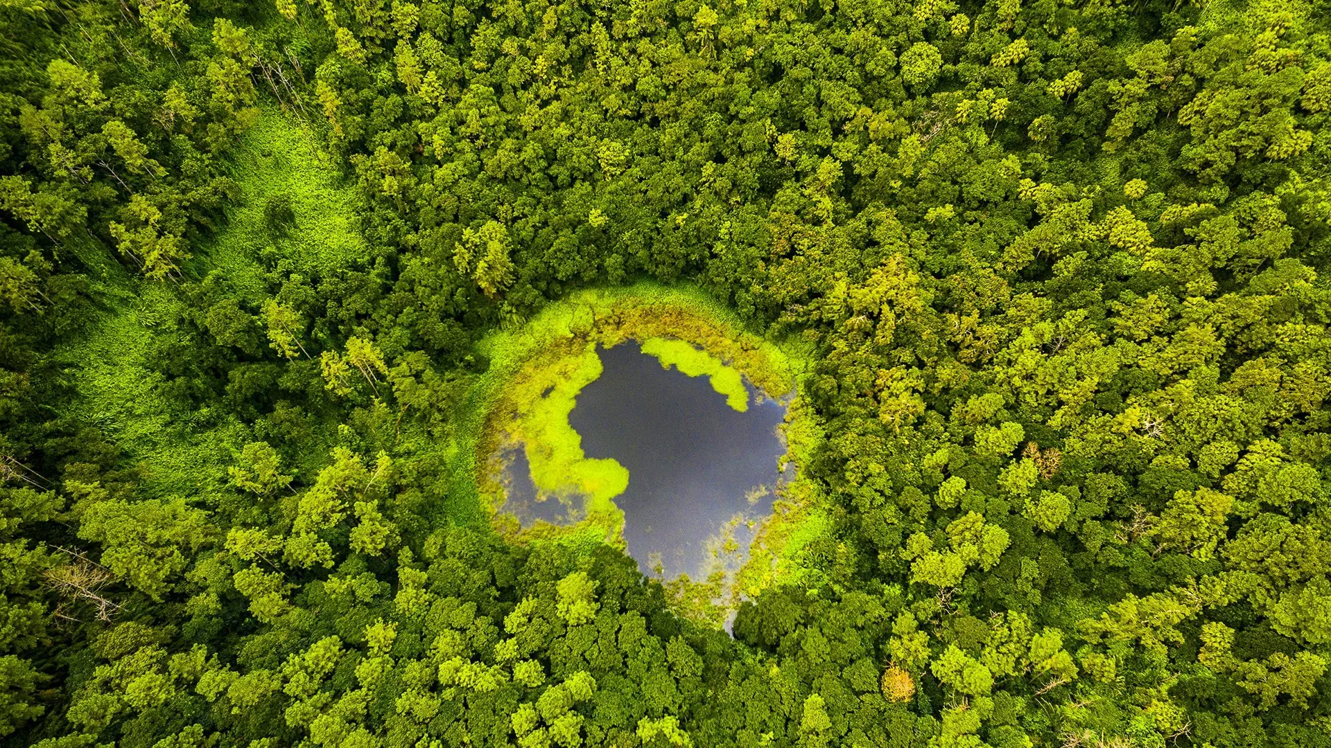 Mauritius: Siedem Kolorów Raju - zdjęcie 7