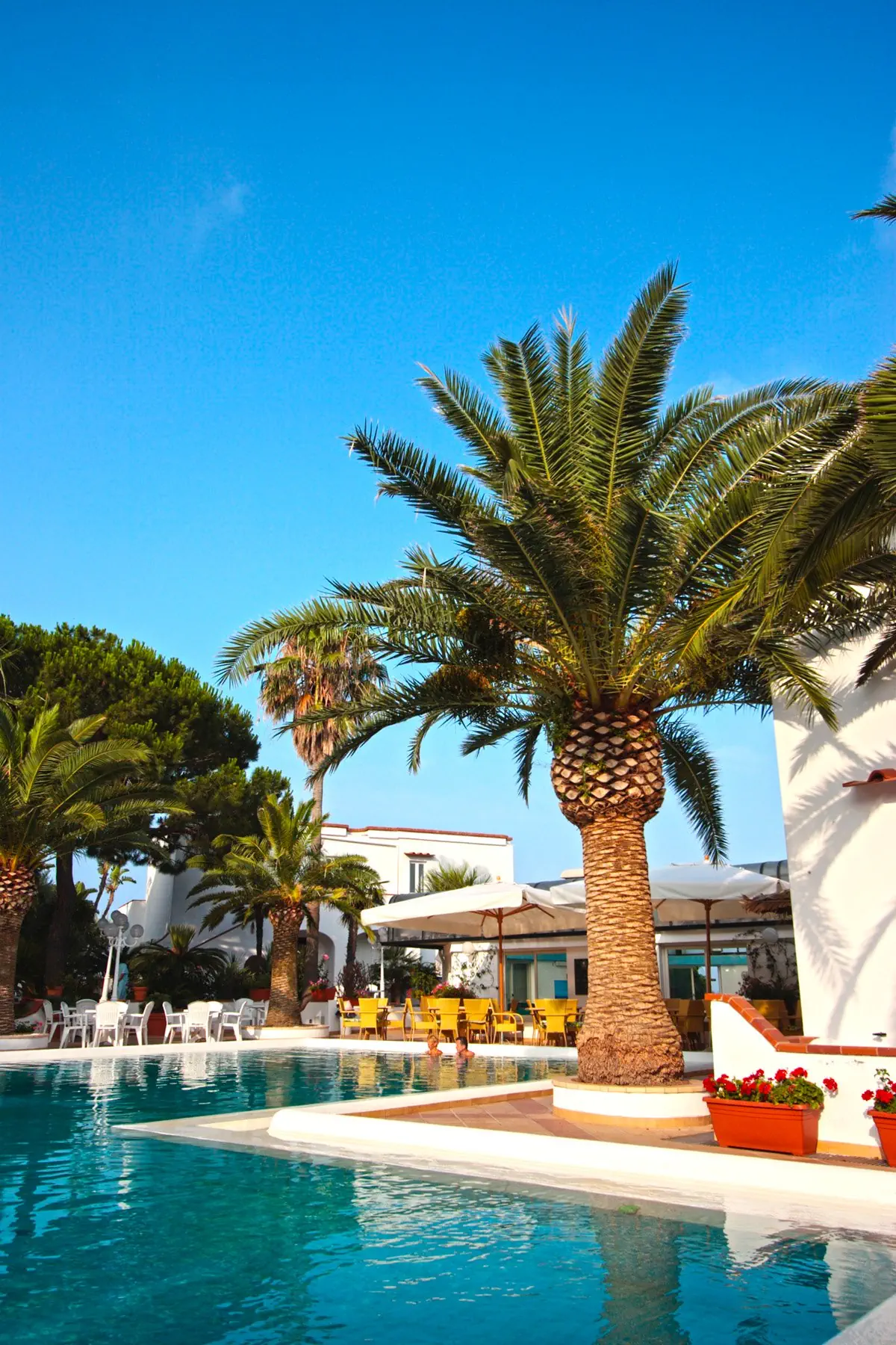 Royal Palm (Forio) - zdjęcie 15