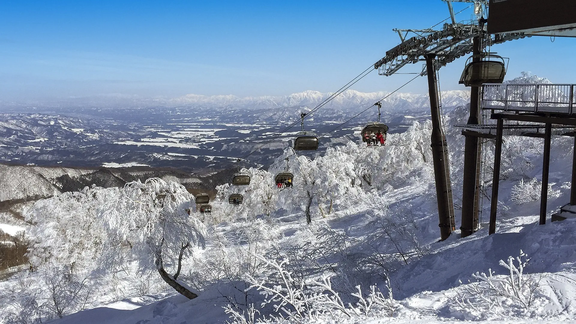 Ski Safari - Narty w Japonii - zdjęcie 30