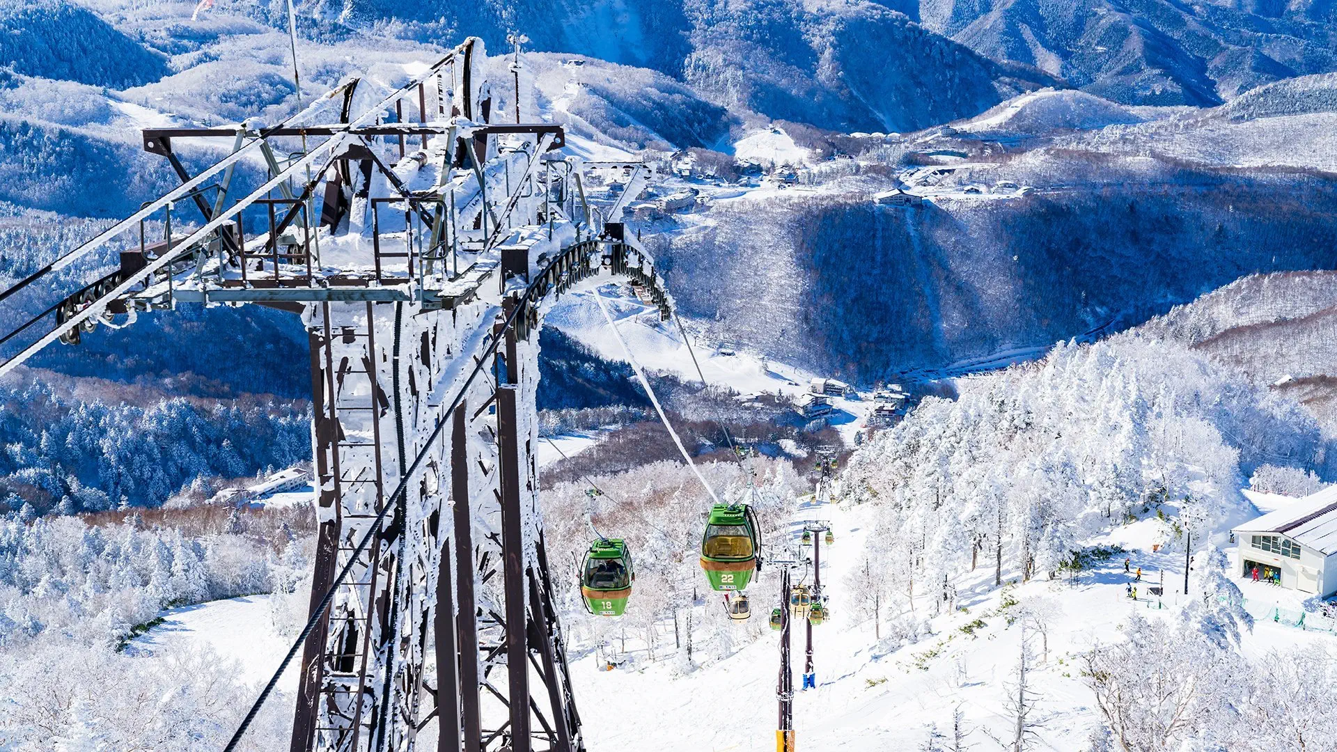 Ski Safari - Narty w Japonii - zdjęcie 14