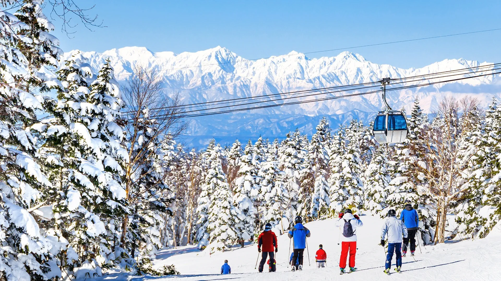 Ski Safari - Narty w Japonii - zdjęcie 44