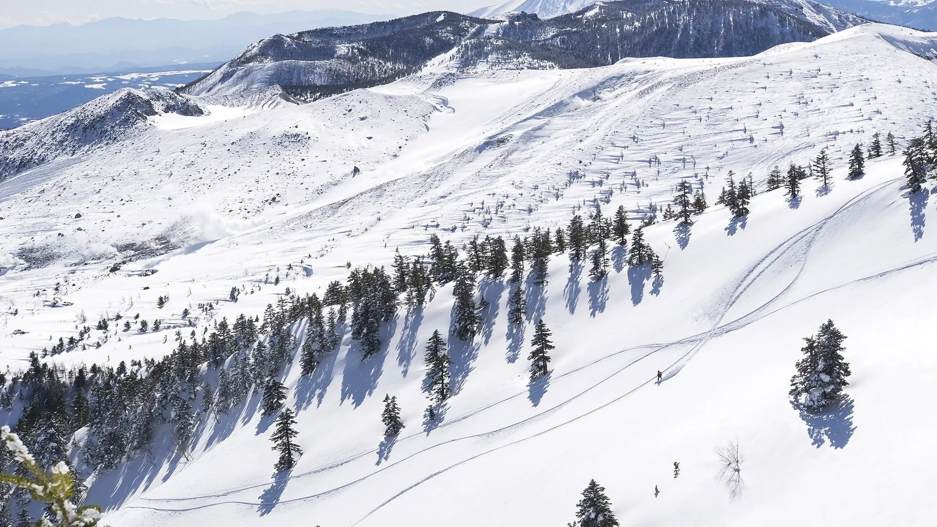 Ski Safari - Narty w Japonii - zdjęcie 32
