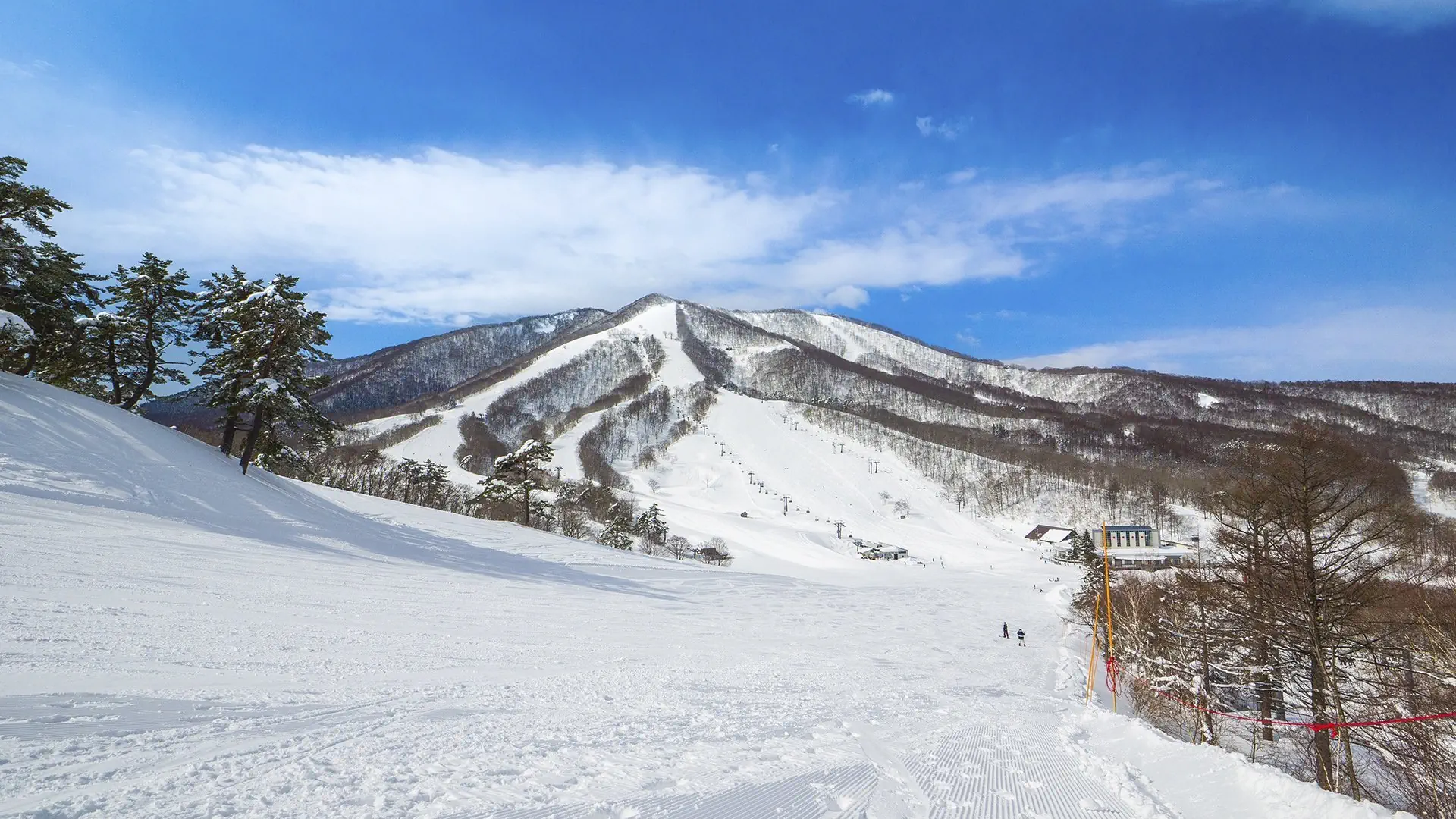 Ski Safari - Narty w Japonii - zdjęcie 45