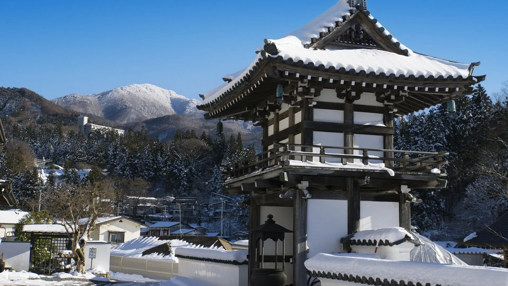 Ski Safari - Narty w Japonii - zdjęcie 38