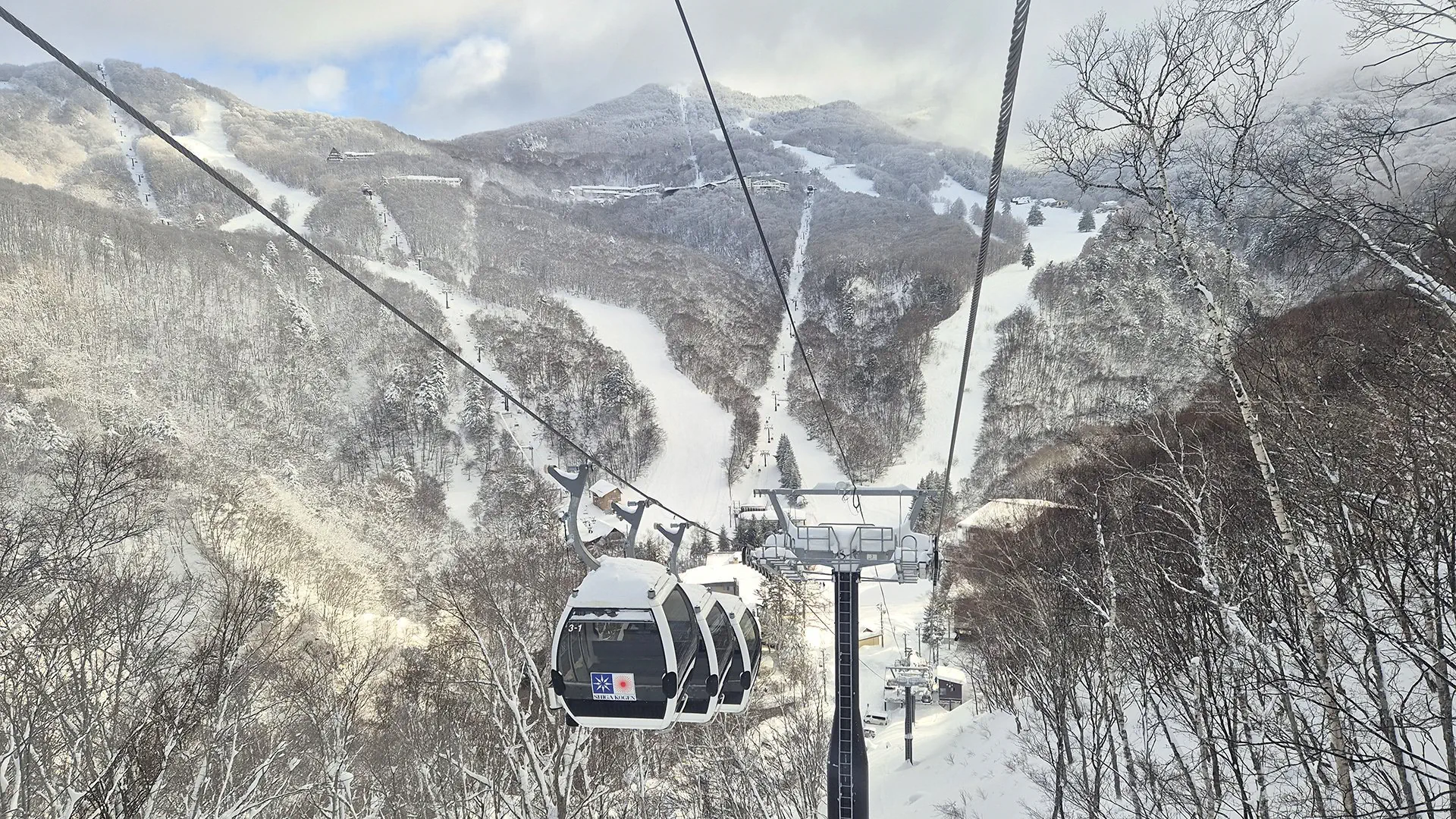 Ski Safari - Narty w Japonii - zdjęcie 11