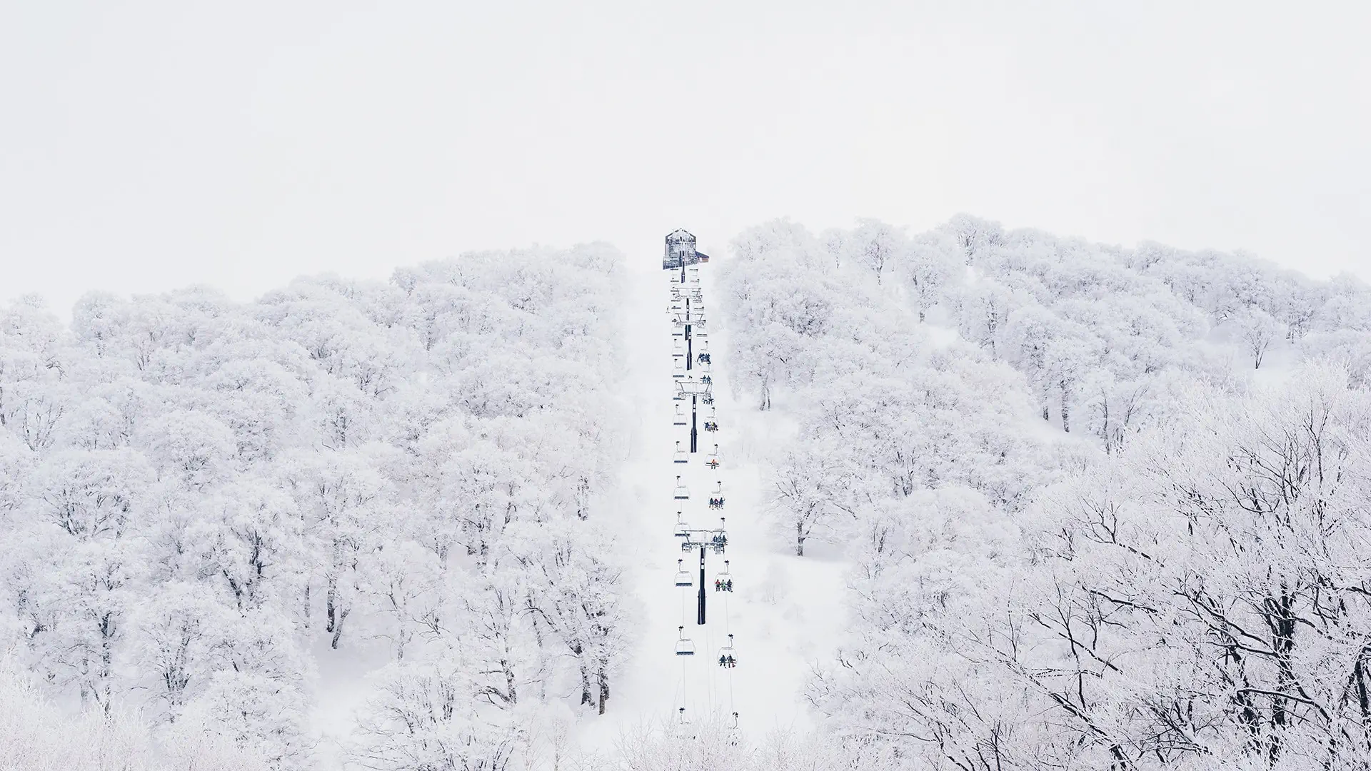 Ski Safari - Narty w Japonii - zdjęcie 43