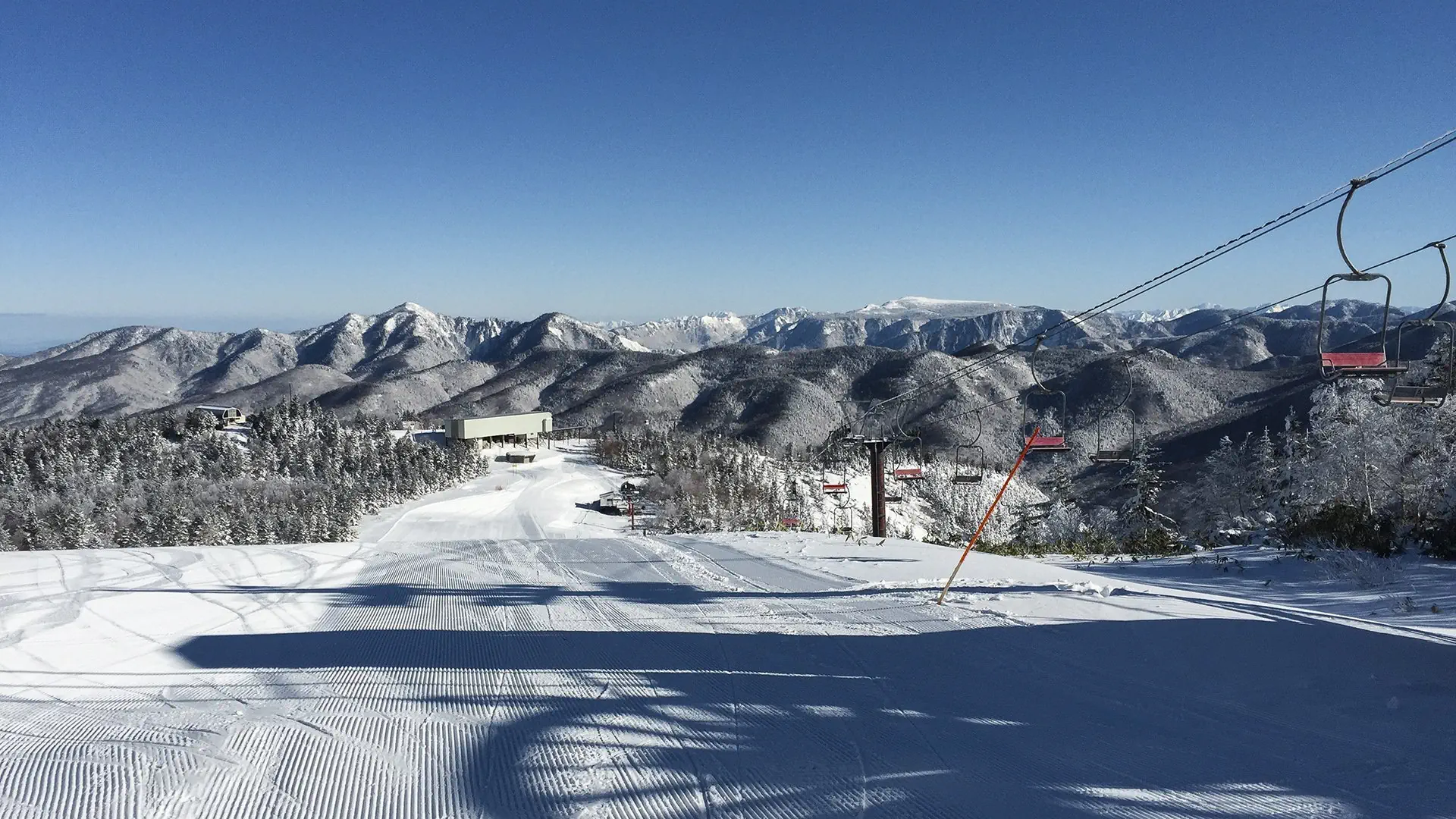 Ski Safari - Narty w Japonii - zdjęcie 28