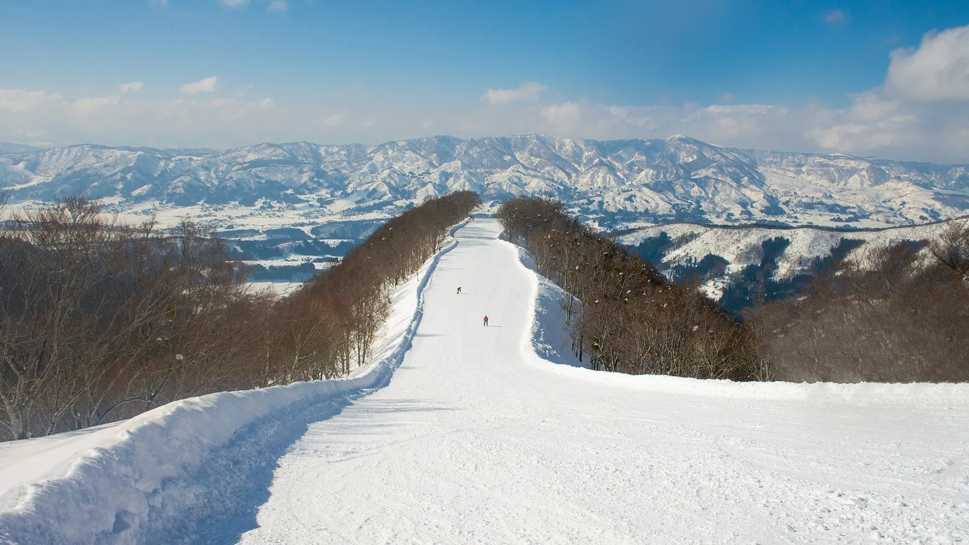 Ski Safari - Narty w Japonii - zdjęcie 42