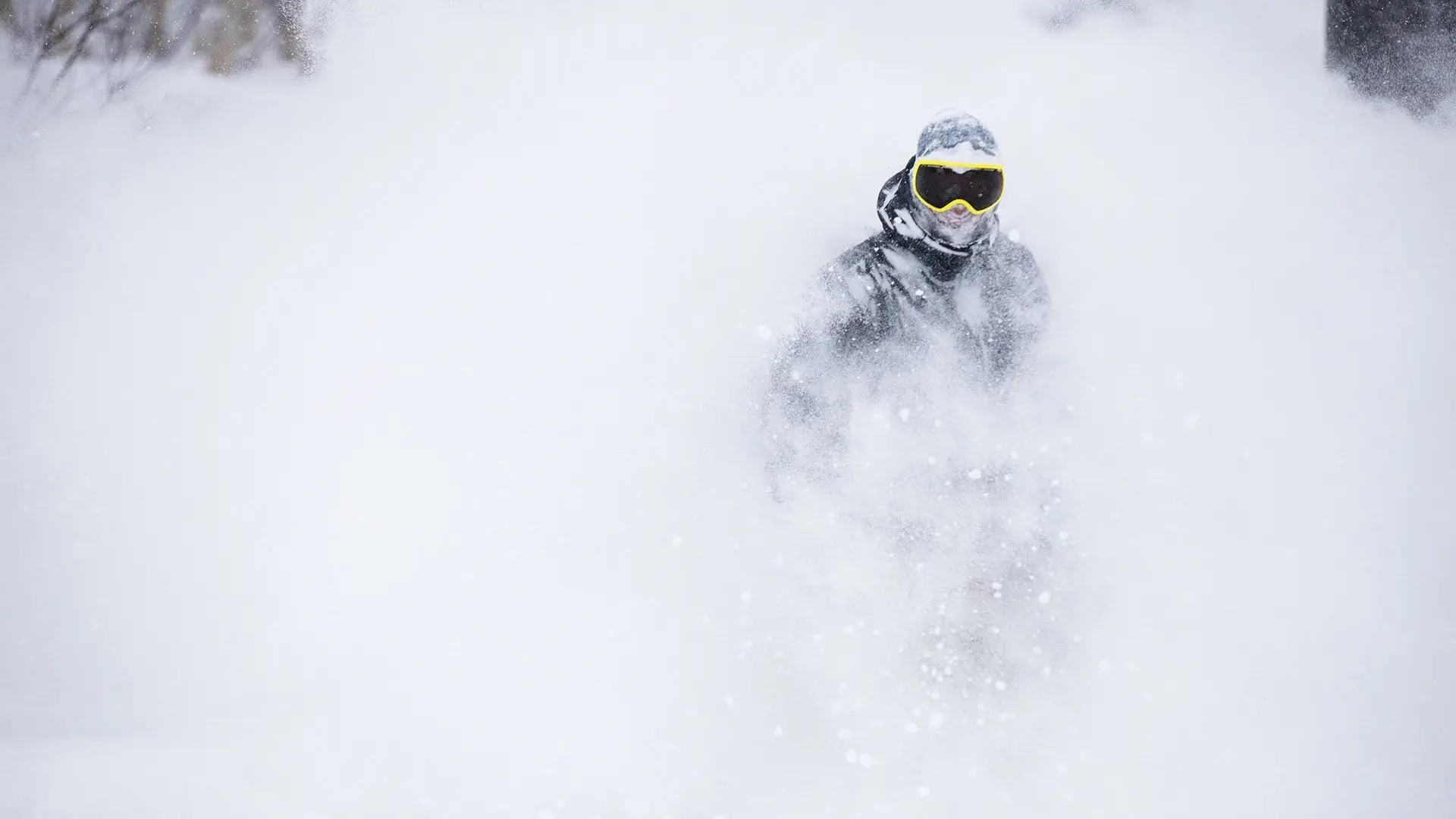 Ski Safari - Narty w Japonii - zdjęcie 29