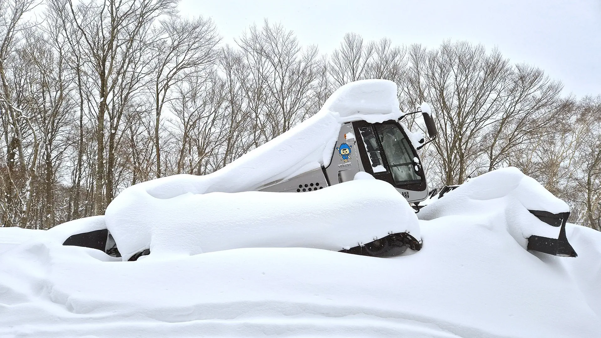Ski Safari - Narty w Japonii - zdjęcie 7