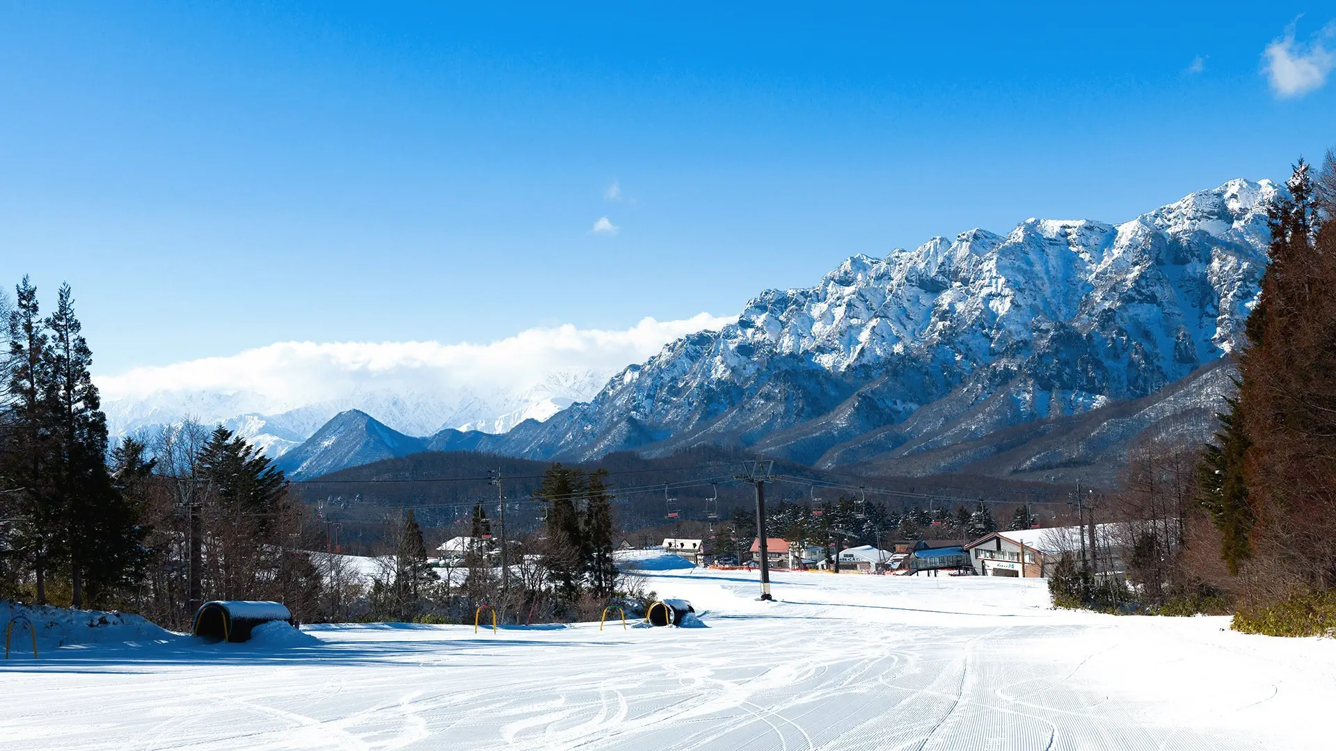 Ski Safari - Narty w Japonii - zdjęcie 40