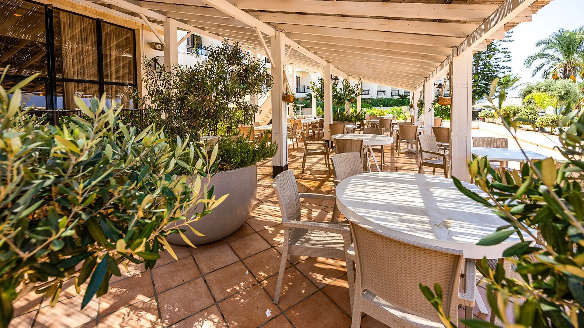Venus Beach (Paphos) - zdjęcie 24