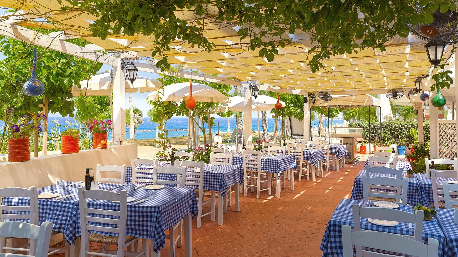 Venus Beach (Paphos) - zdjęcie 18