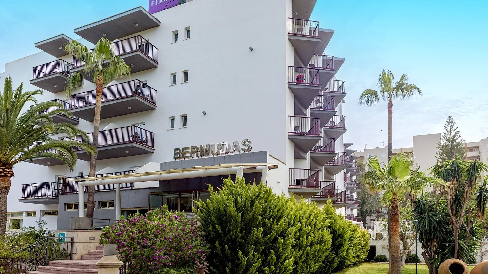 Fergus Bermudas (ex. Ola Club)