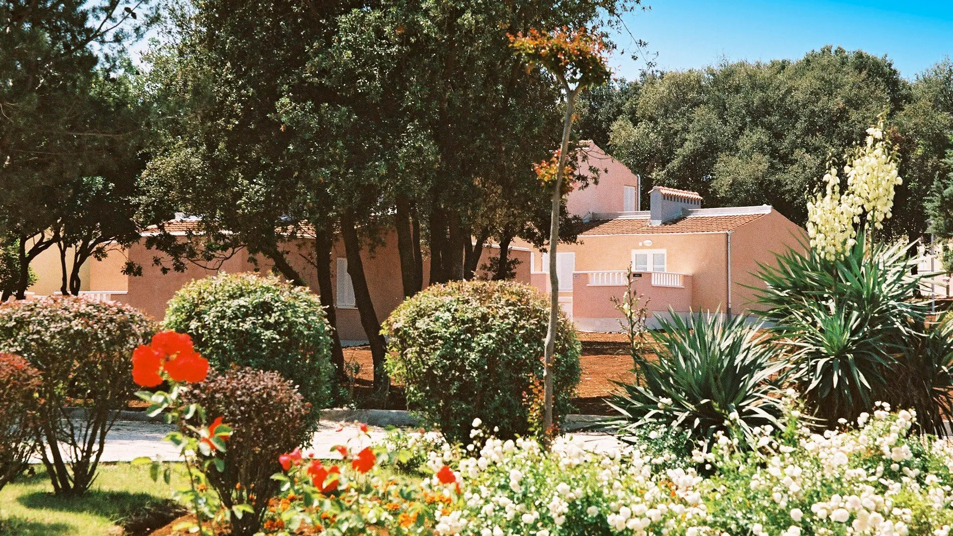 Maistra Select Amarin Resort (Istria)
