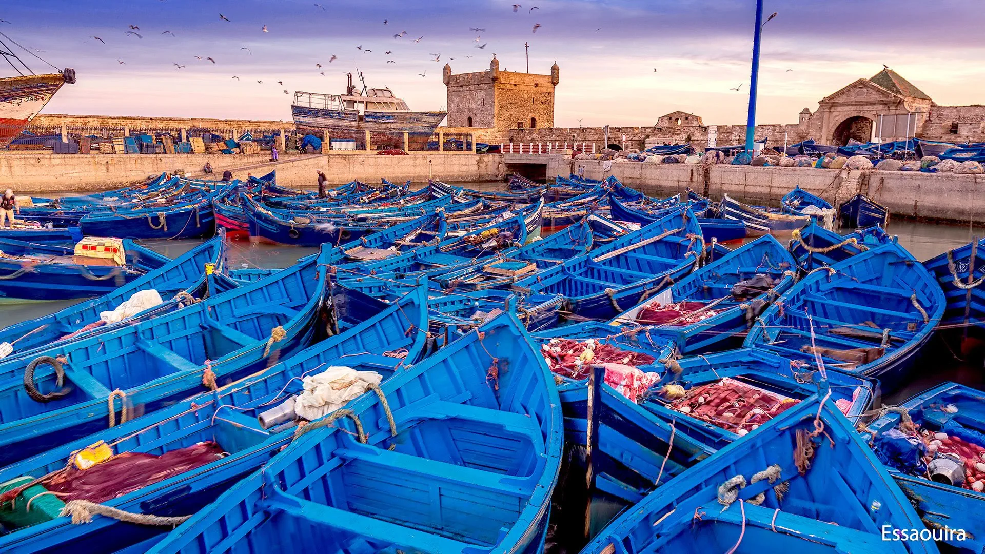 Rabat na Berbera - zdjęcie 8