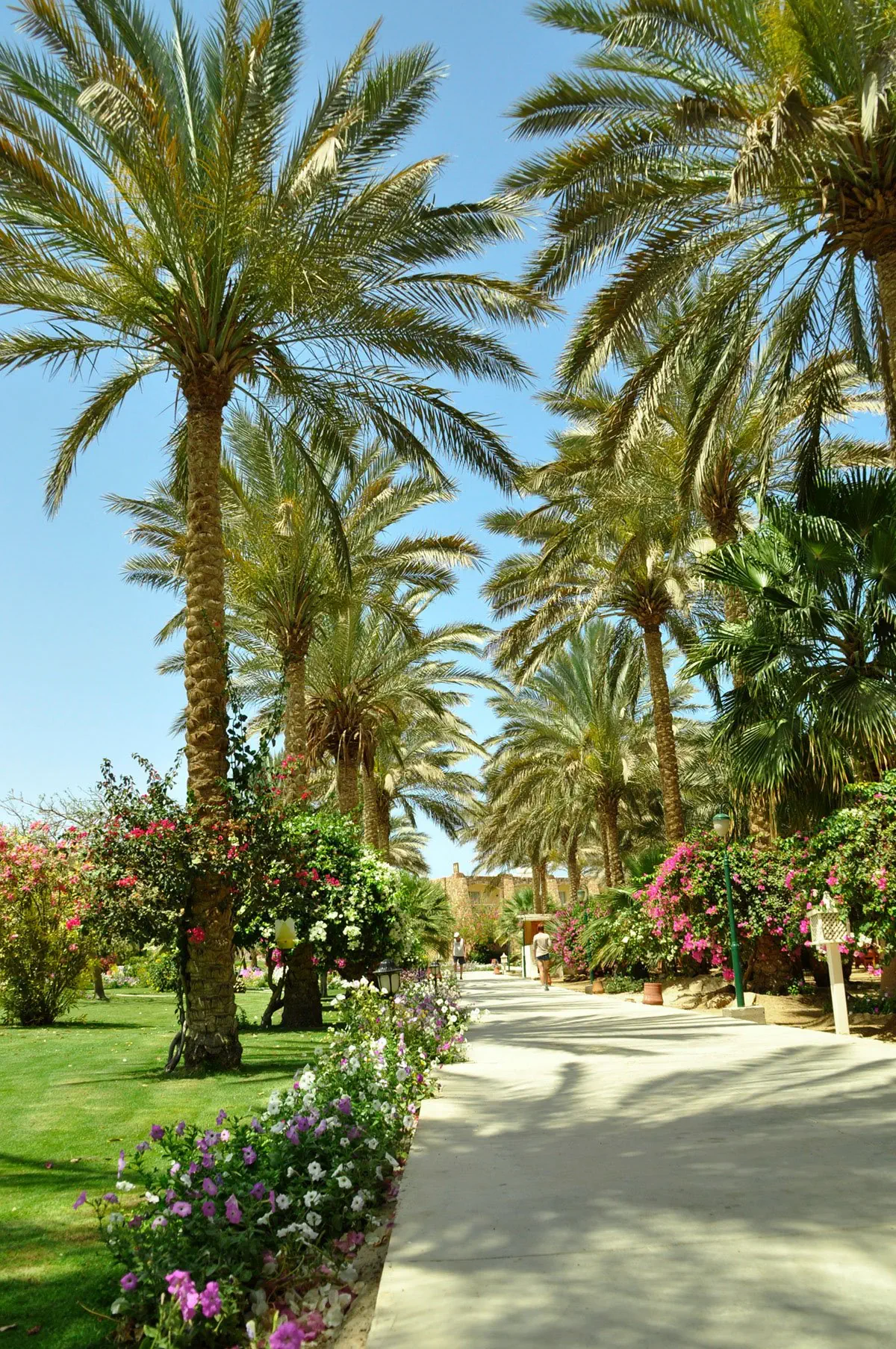 Hotel Brayka Bay Resort