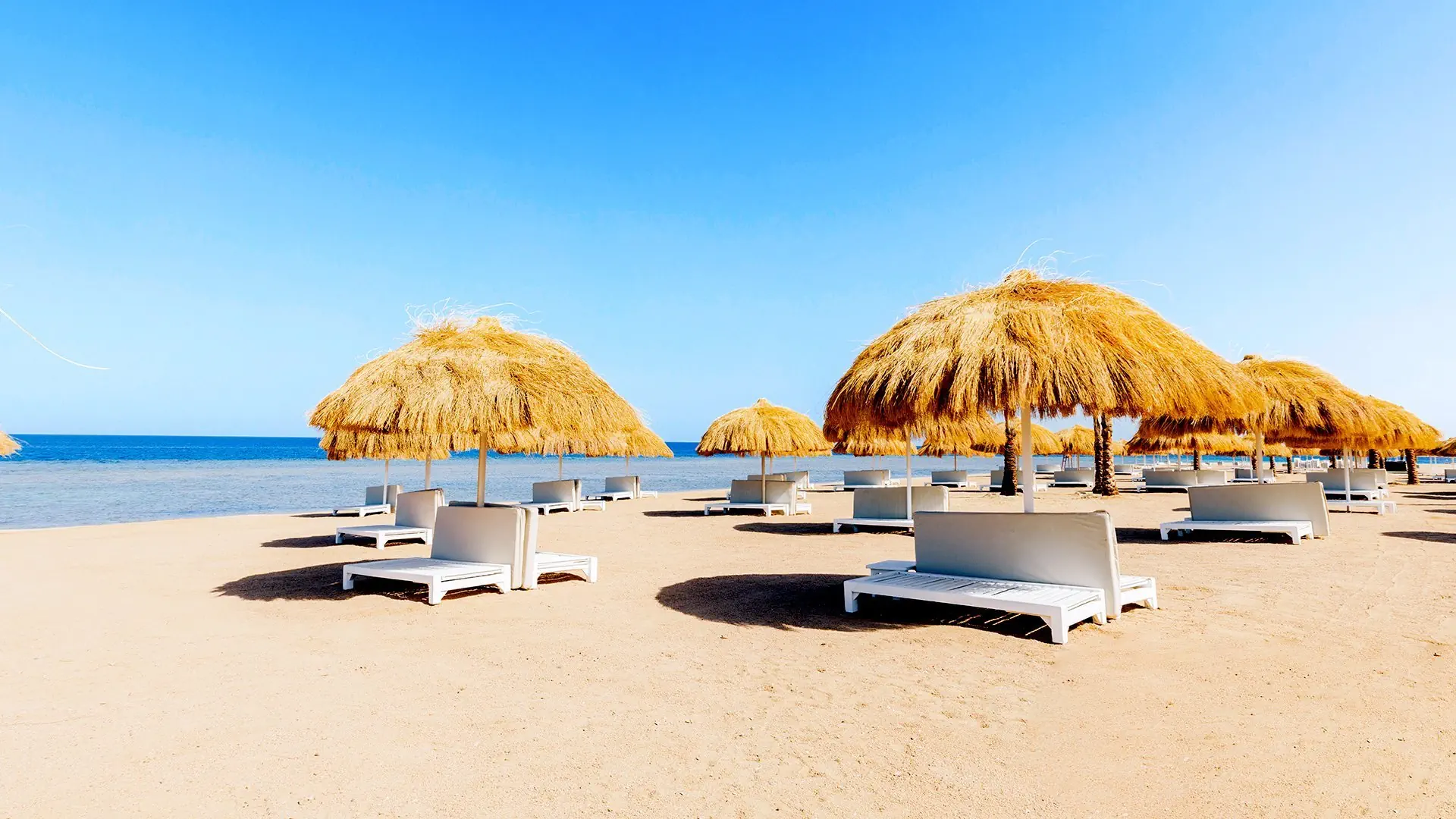 Reef Oasis Suakin Resort - zdjęcie 71