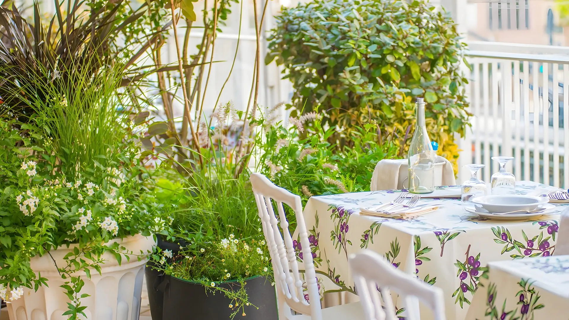Admiral Art Hotel