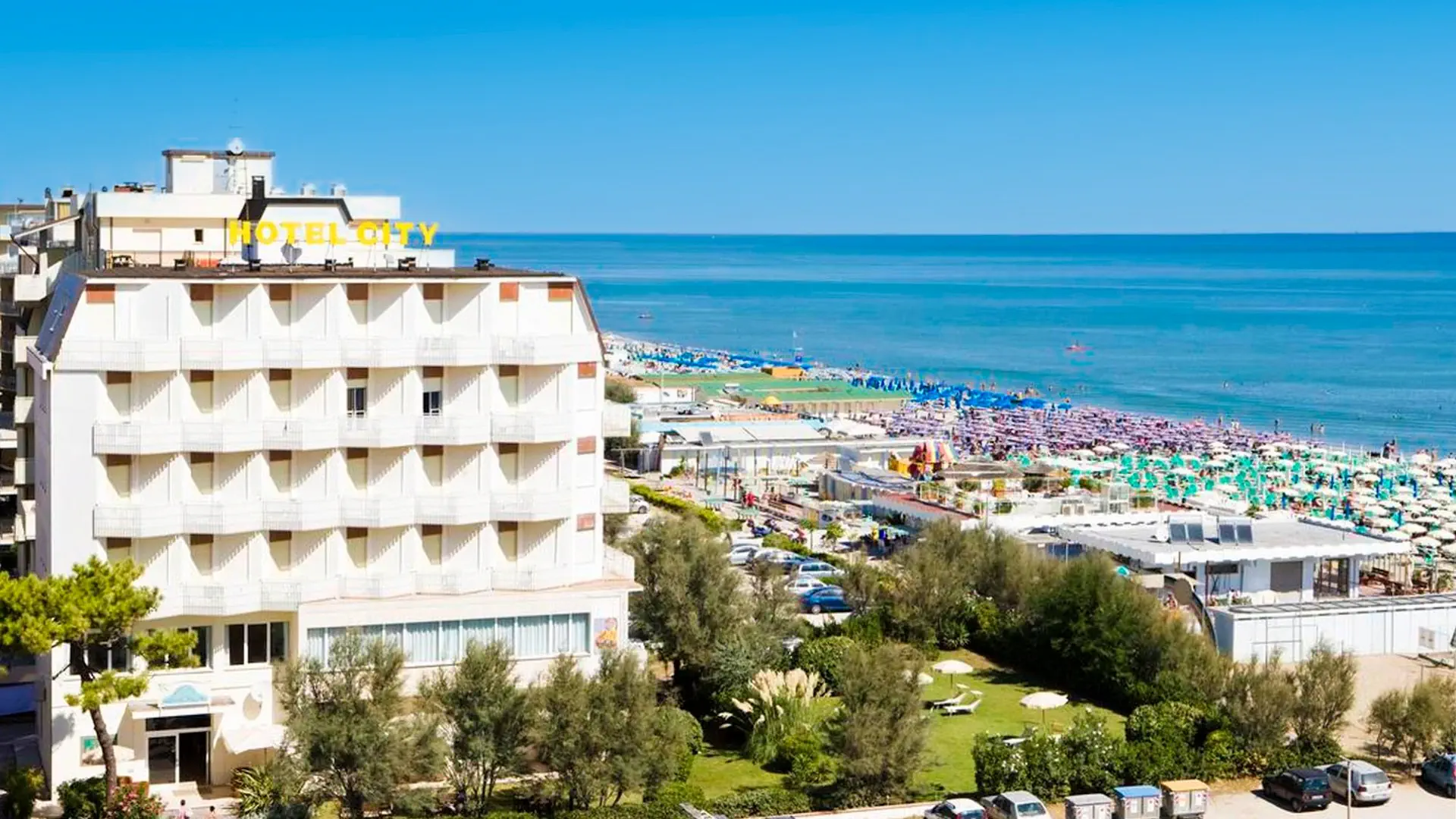 City