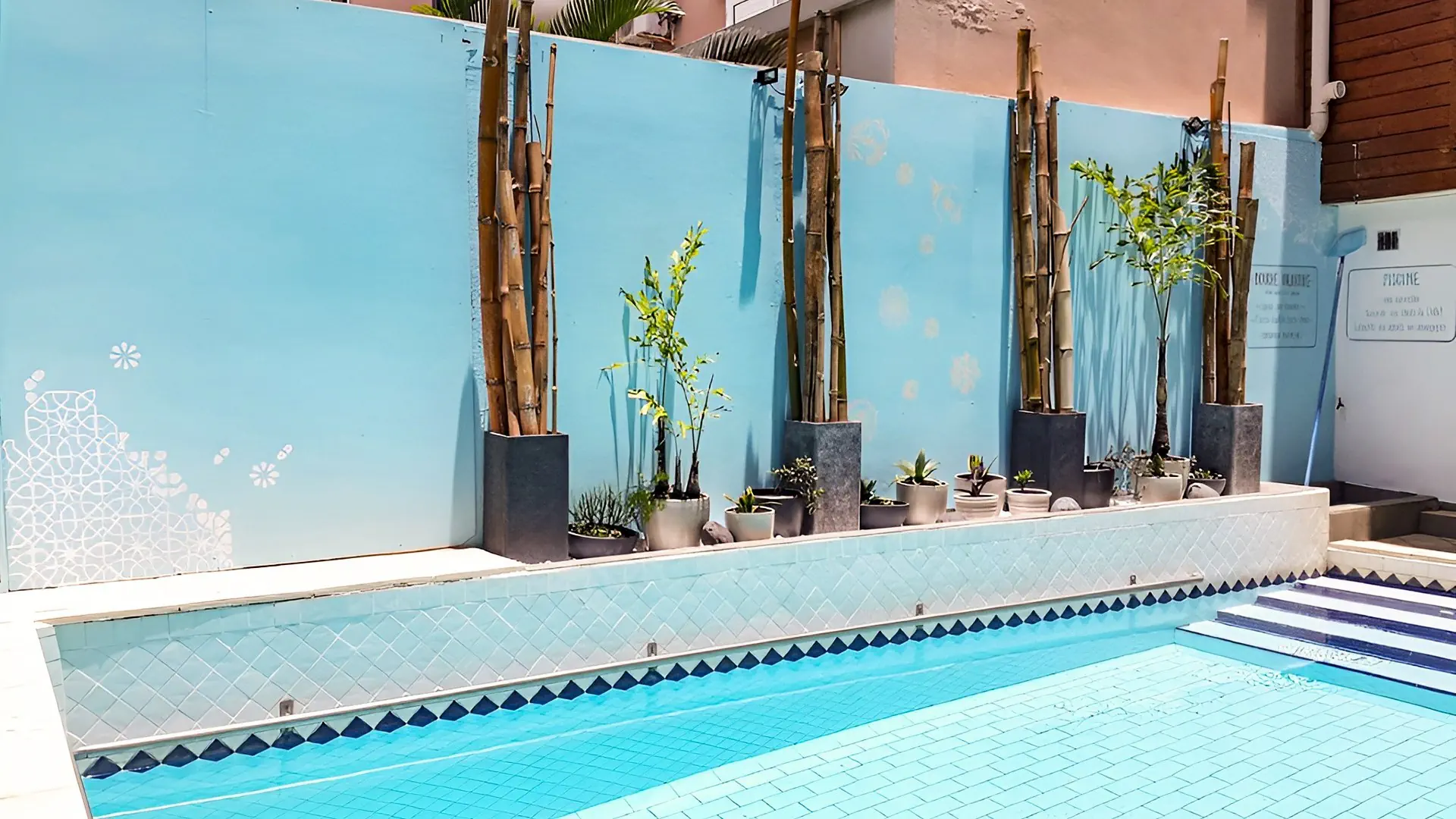 Austral - zdjęcie 7