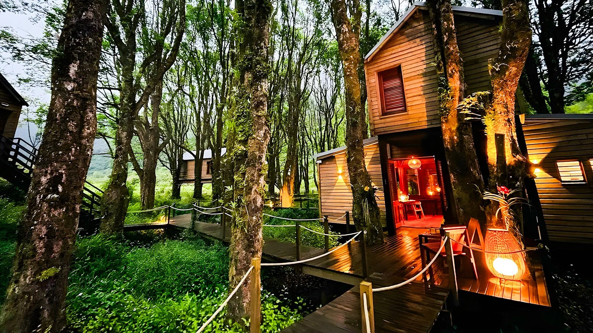 Kanopea Forest Lodge - zdjęcie 3