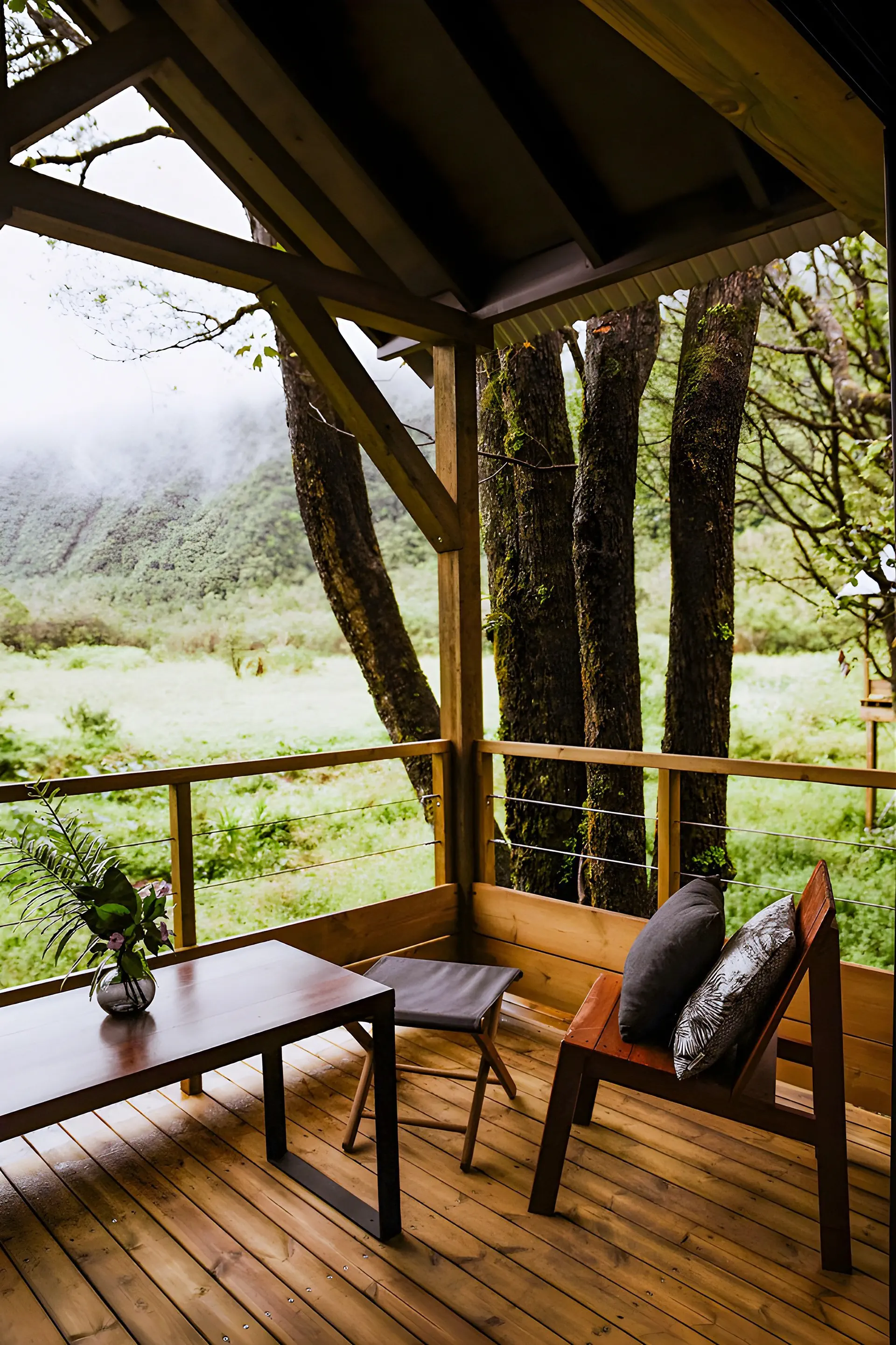 Kanopea Forest Lodge - zdjęcie 7
