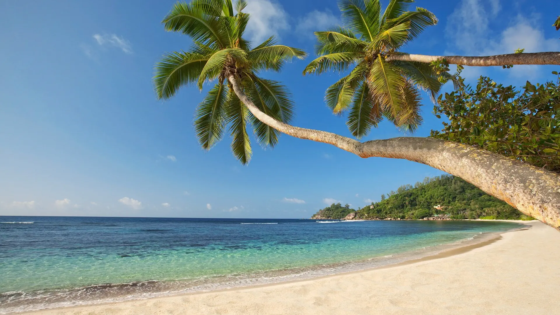 Kempinski Seychelles Resort - zdjęcie 21